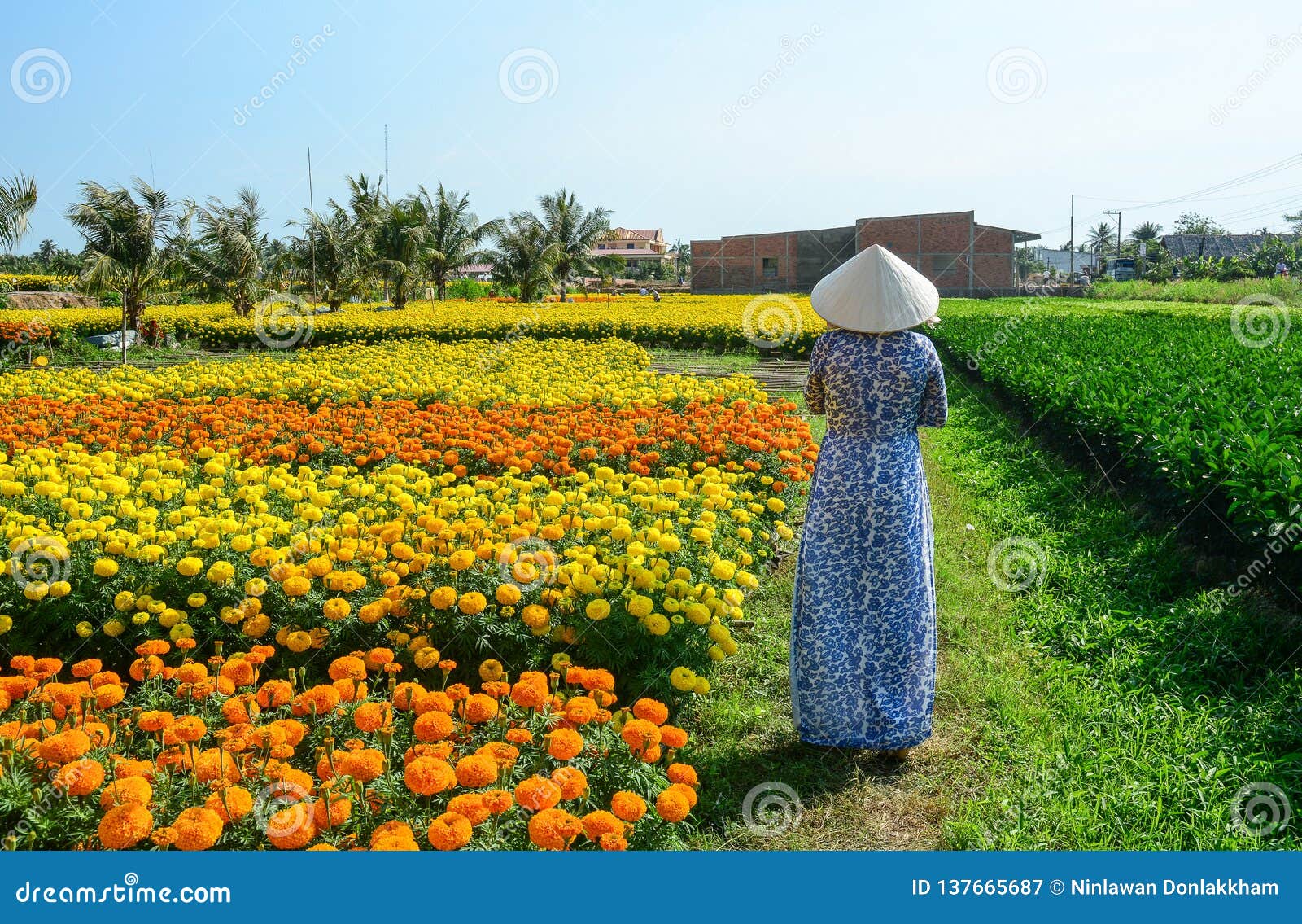 Vietnamese Woman with Traditional Dress Stock Image - Image of national ...