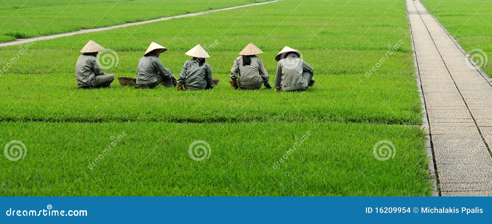 Vietnamese Women Sitting on the Grass Editorial Stock Image Image of