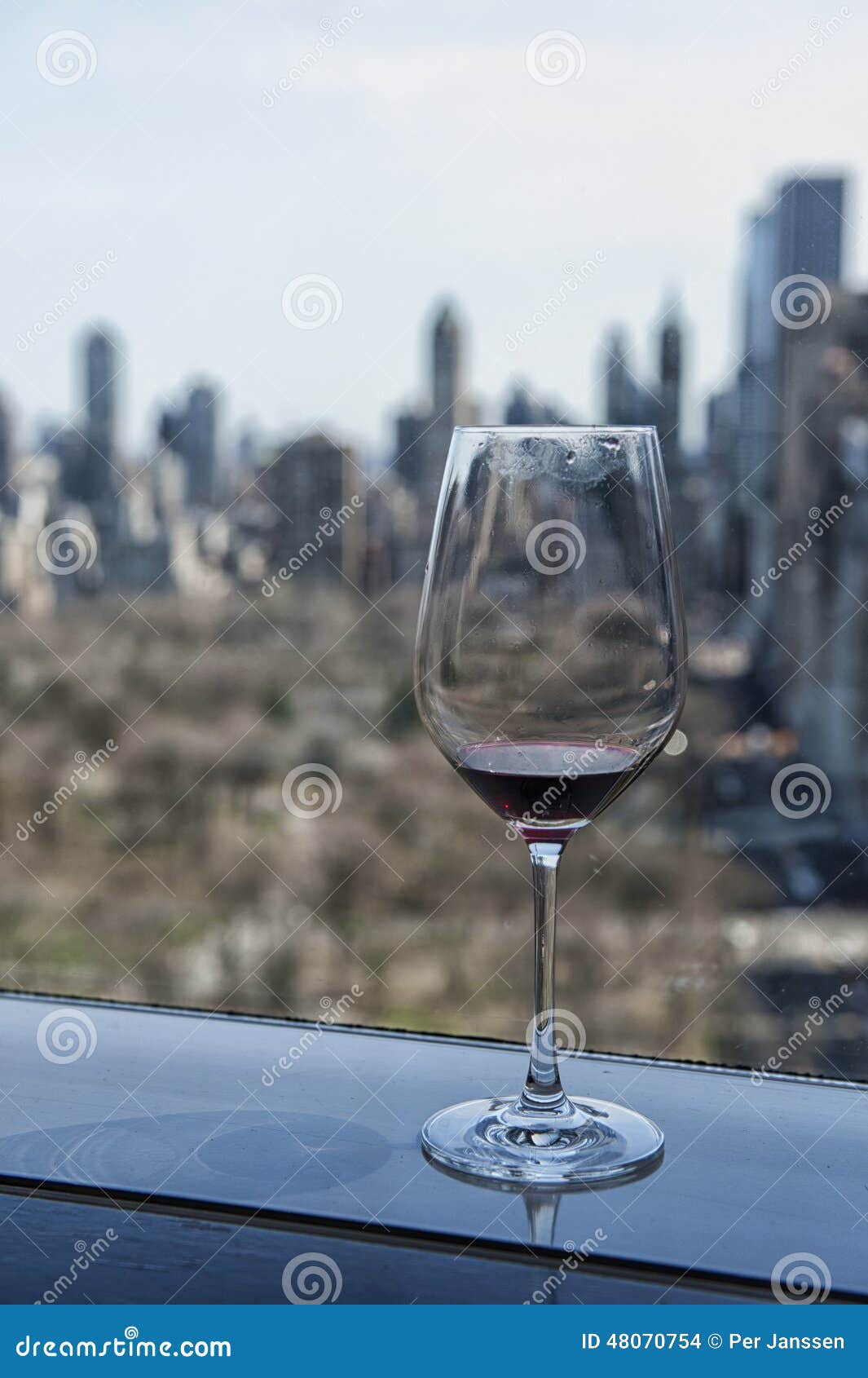 vieuw over new york central park glass of wine moment