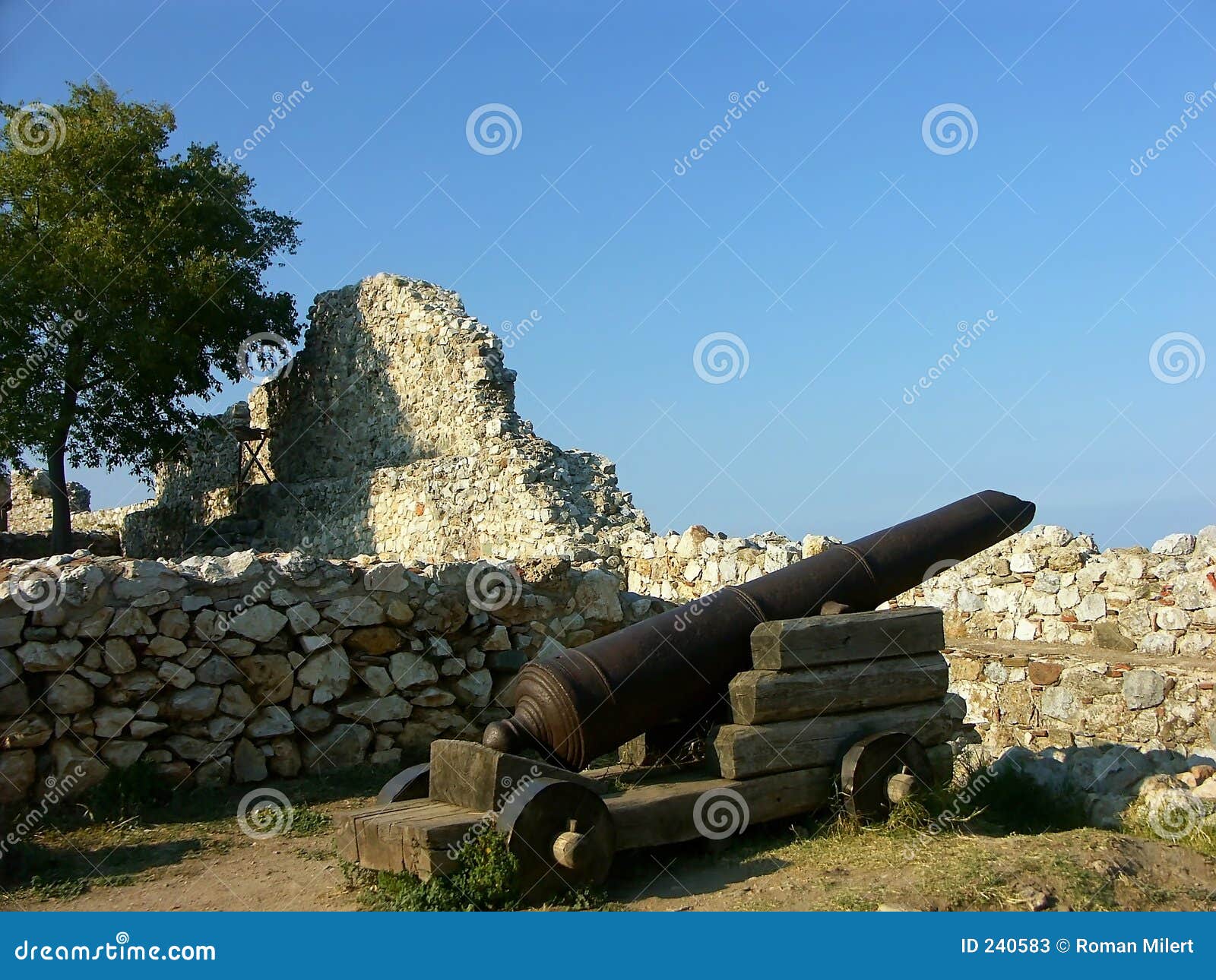 Vieux canon dans les ruines '04 de forteresse