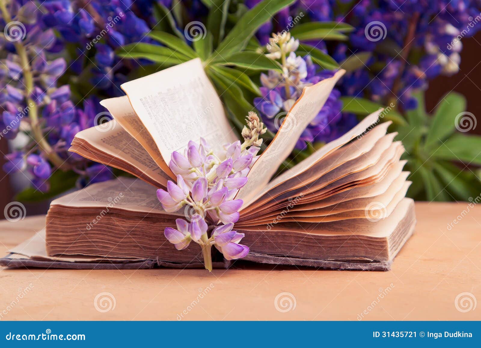  Vieux livre ouvert  image stock Image du ouvert  livre  