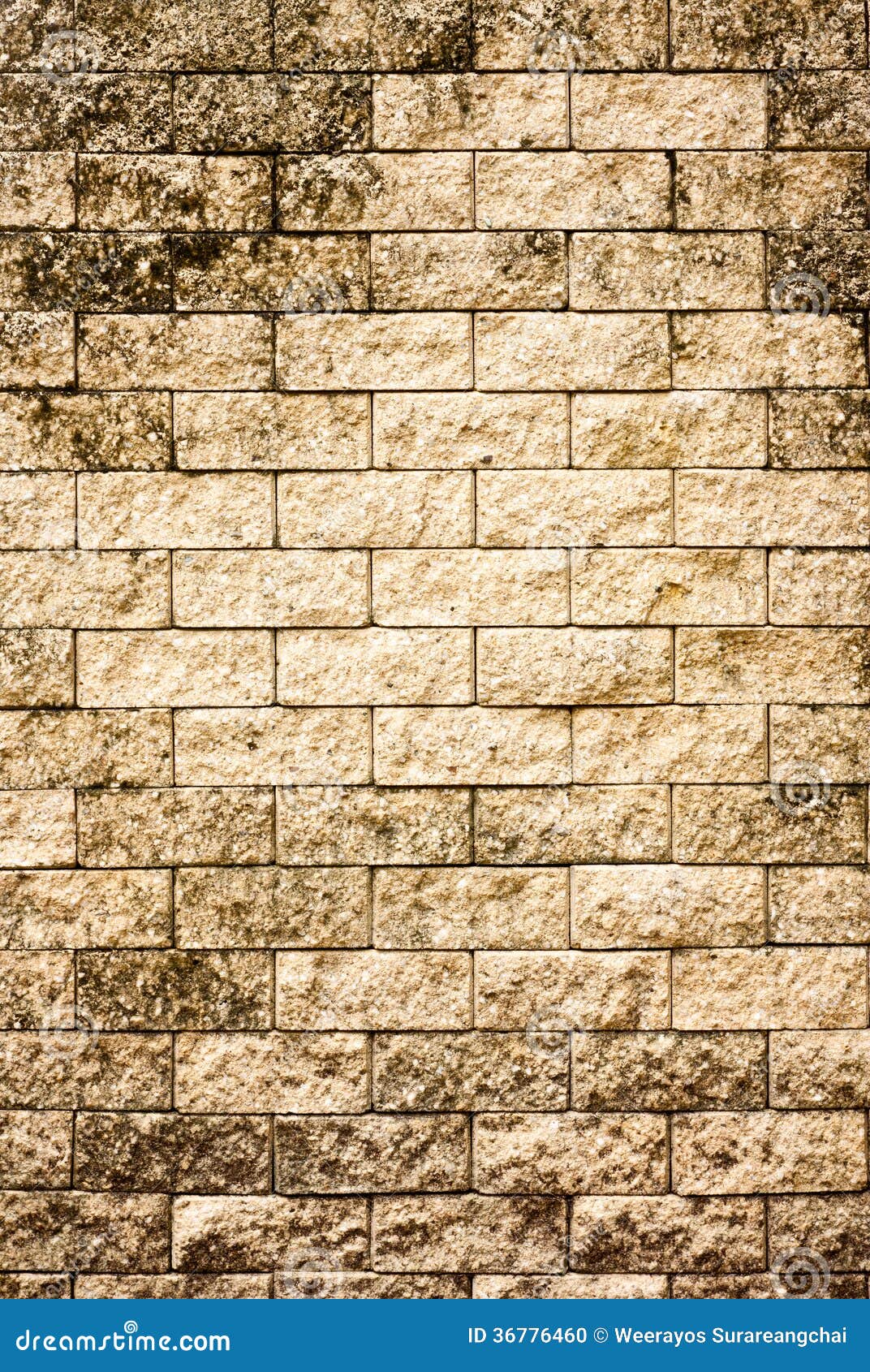 Vieux mur de briques