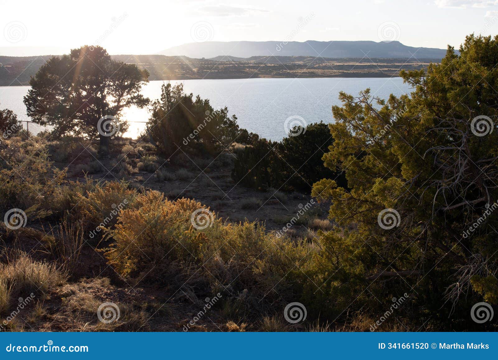 view of abiquiu lake, pinyon trees, and junipers in northern new mexico at dawn