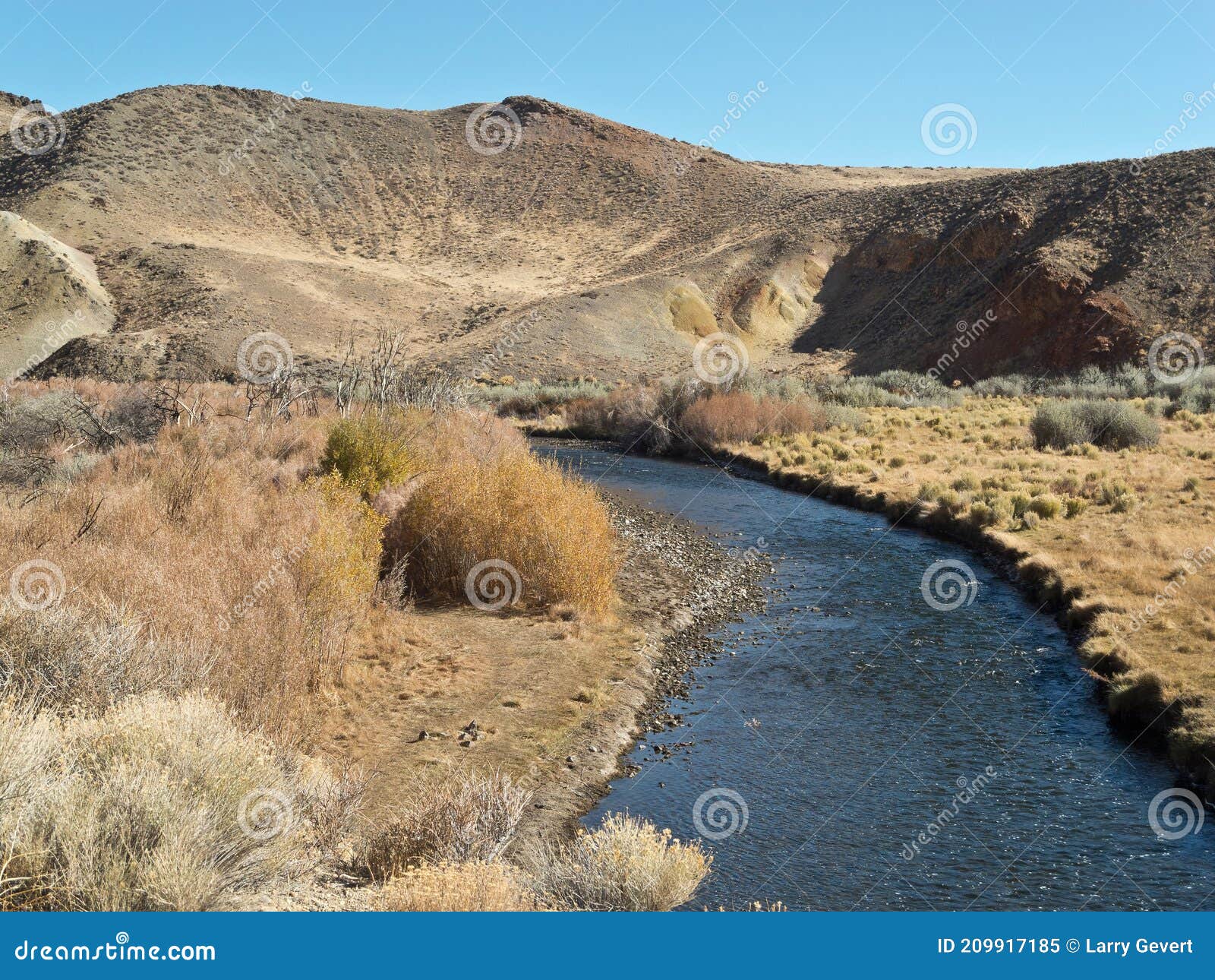 East Walker River in Western Nevada Stock Image Image of field, peak