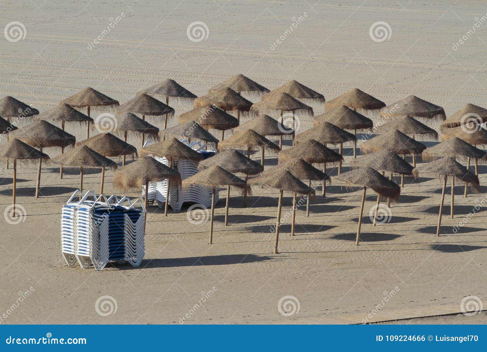 Set of Umbrellas and Hammocks in the Beach Stock Photo Image of
