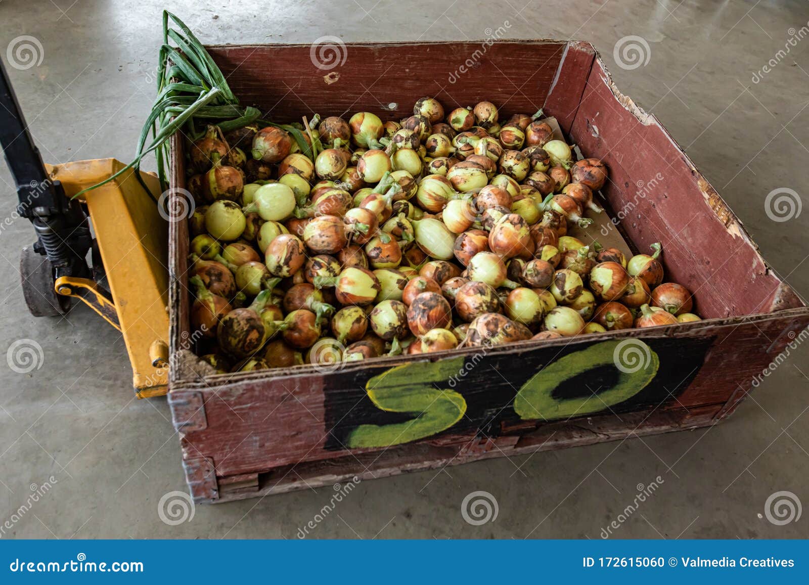 624 Forklift Food Photos Free Royalty Free Stock Photos From Dreamstime