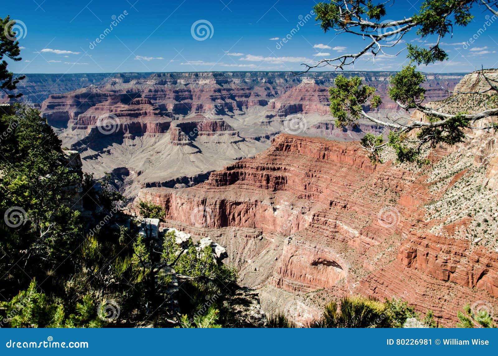 view into the abyss, grand canyon national park