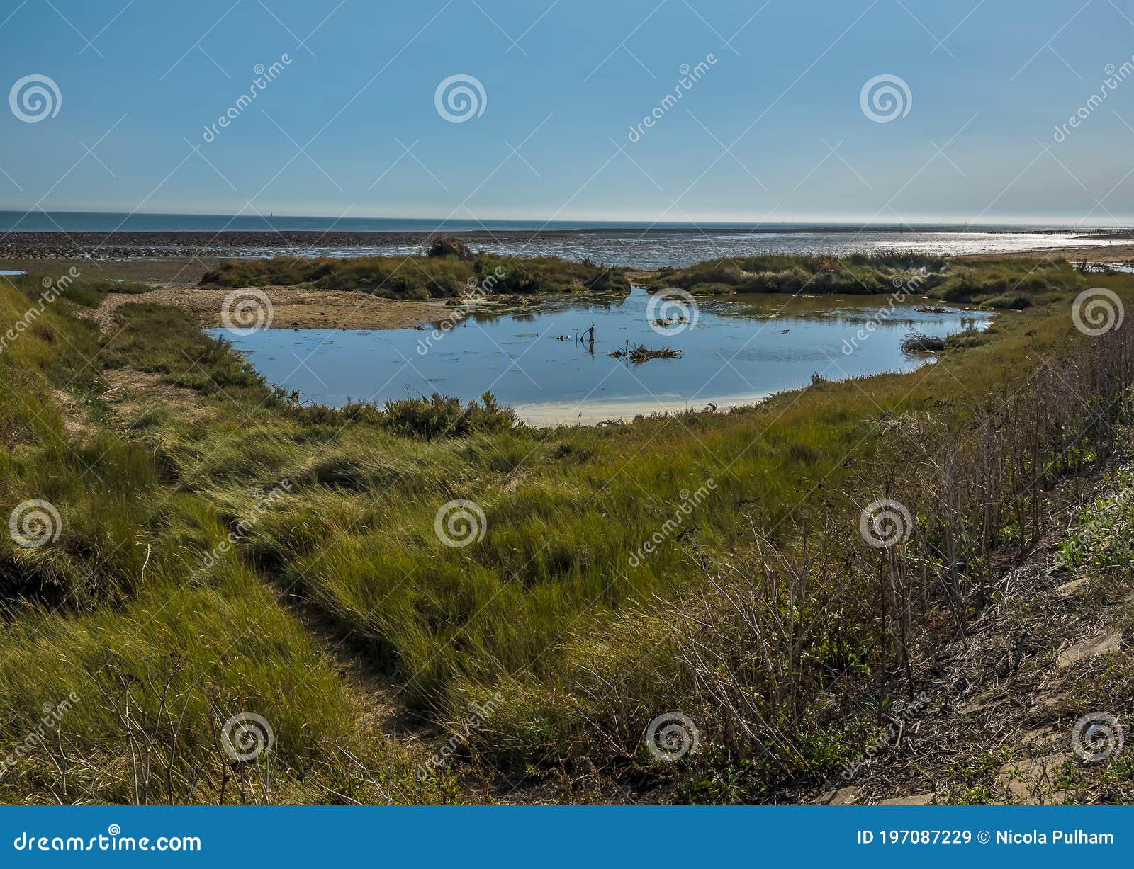 a view across the salt marshes out to sea from the east mersea flats, uk