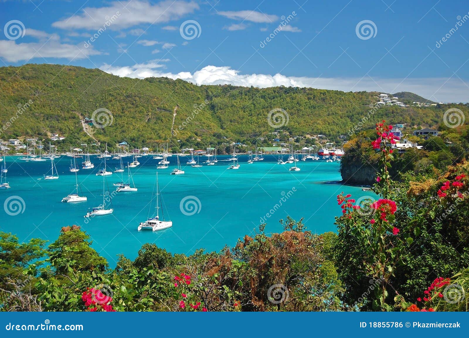 View of Admiralty Bay on Bequia Island Stock Photo Image of nature