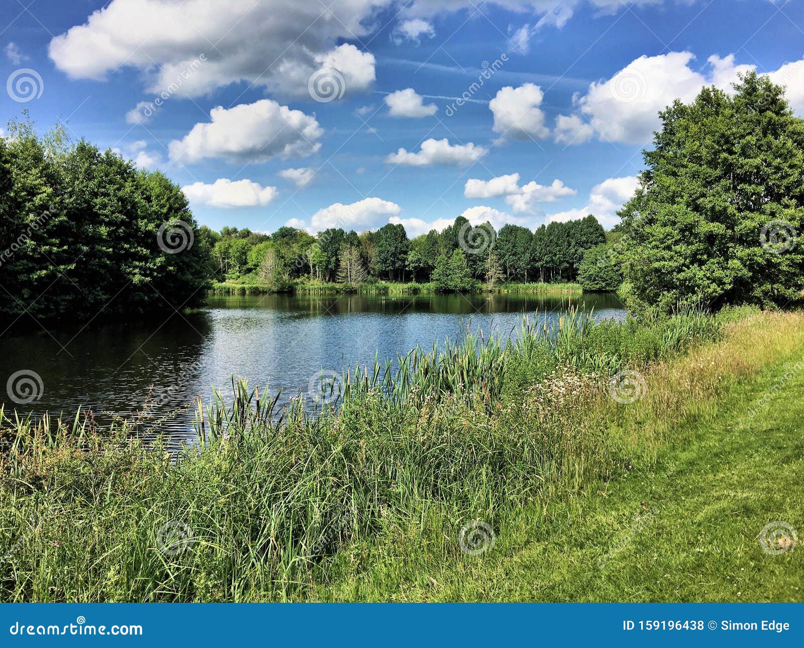 A view of Alderford Lake stock photo. Image of lakes 159196438