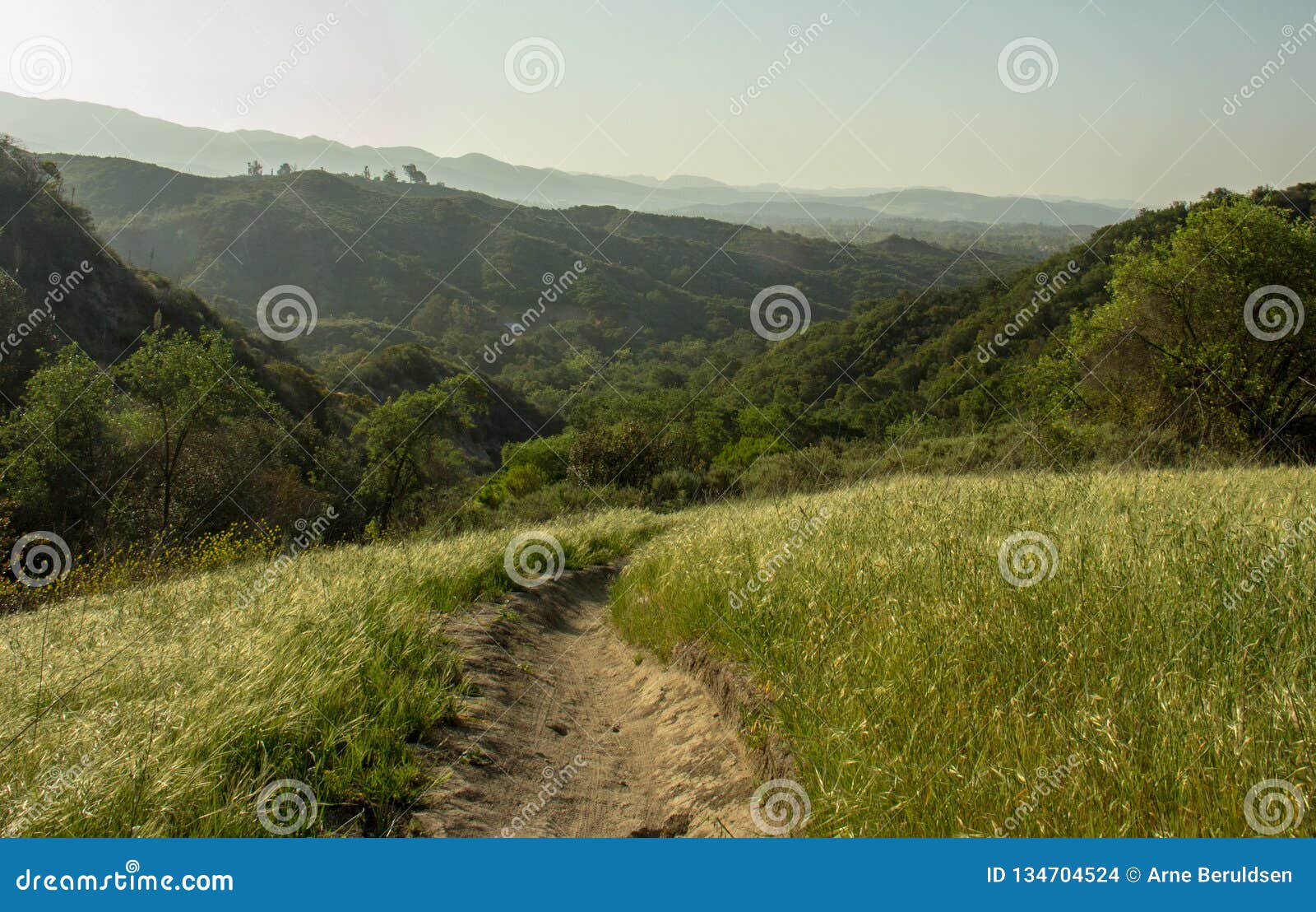 view in o`neill regional park