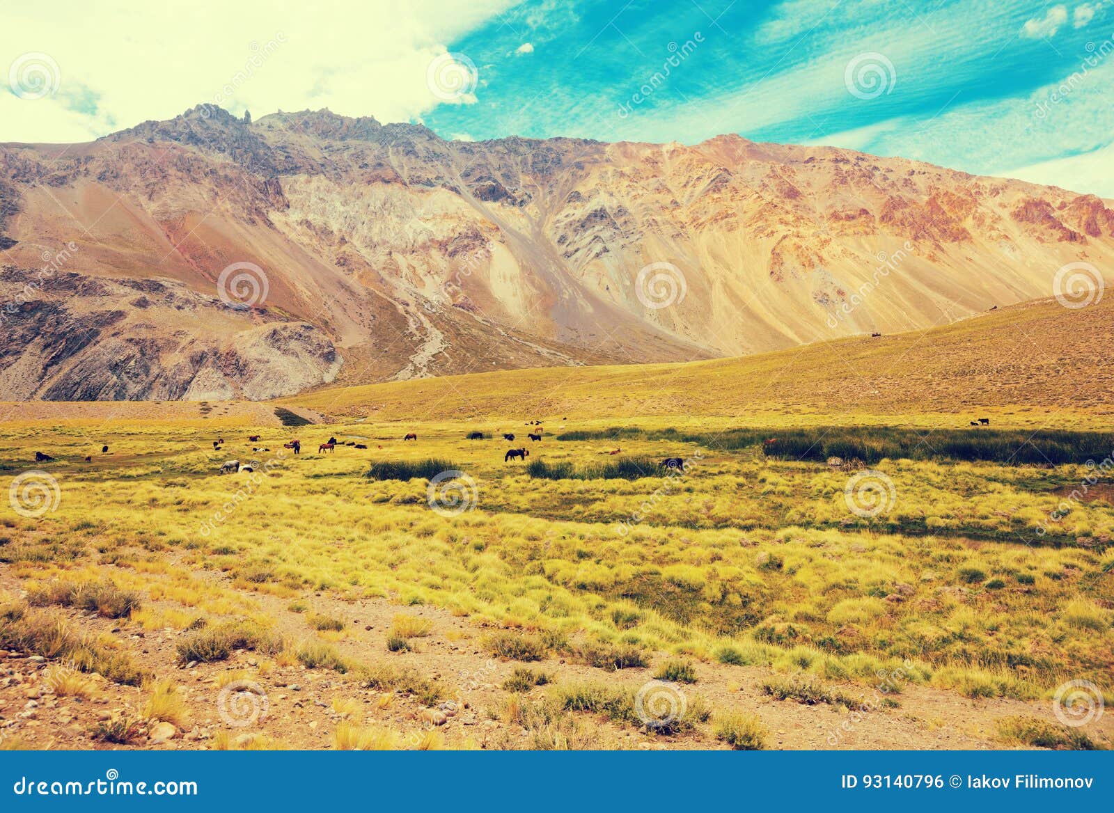 view of andes mountains, valle hermoso