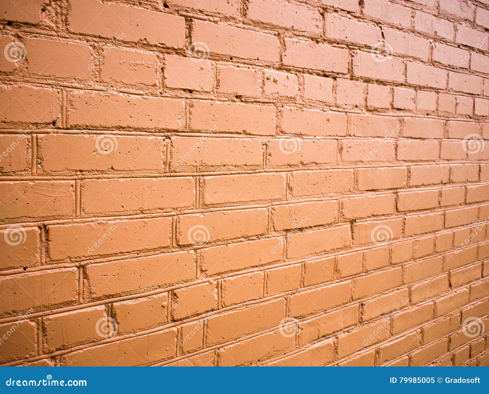 View Angle on the Brick Wall Stock Image Image of closeup, building