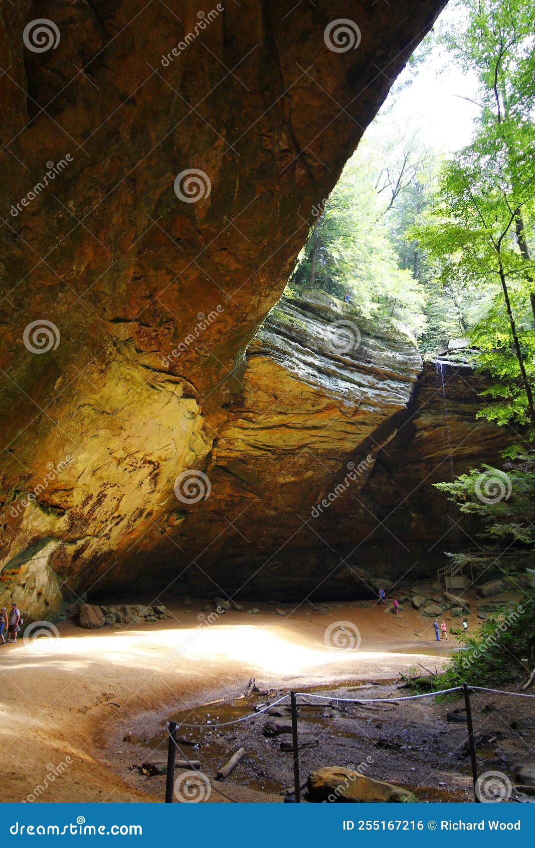 View of Ash Cave in Summer, Hocking Hills State Park, Ohio Stock Photo Image of forest