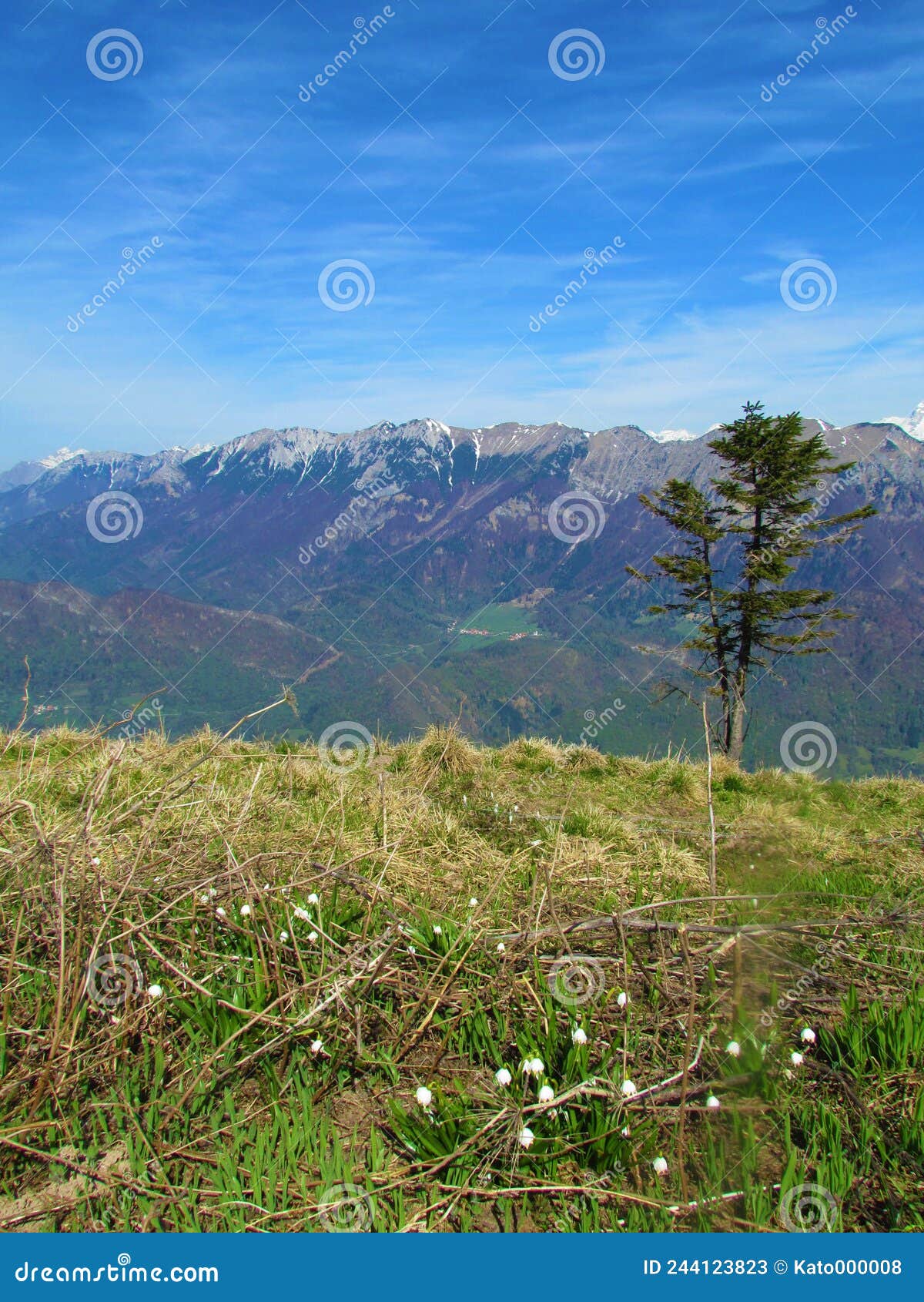 view of the baska grapa valley, slovenia