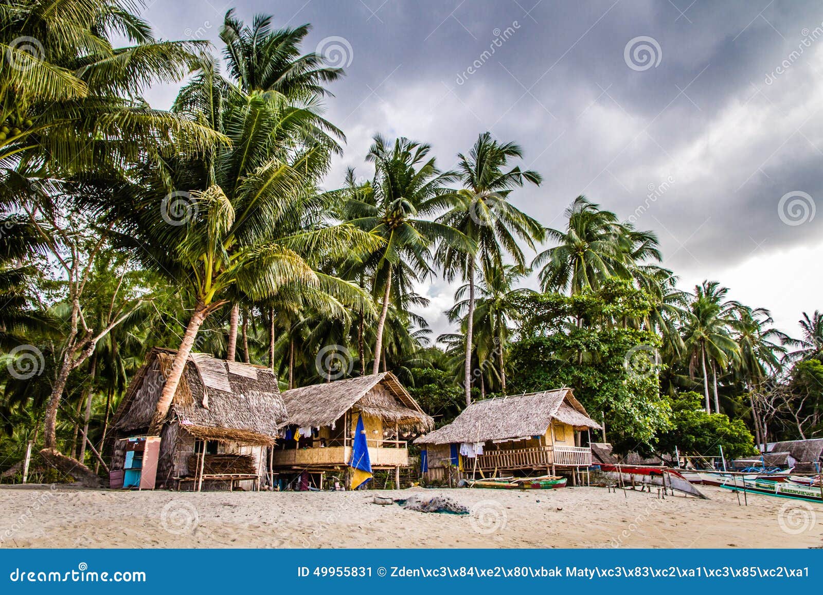 View of Beach,cottages and Palm Trees- Philippines Stock Image - Image ...