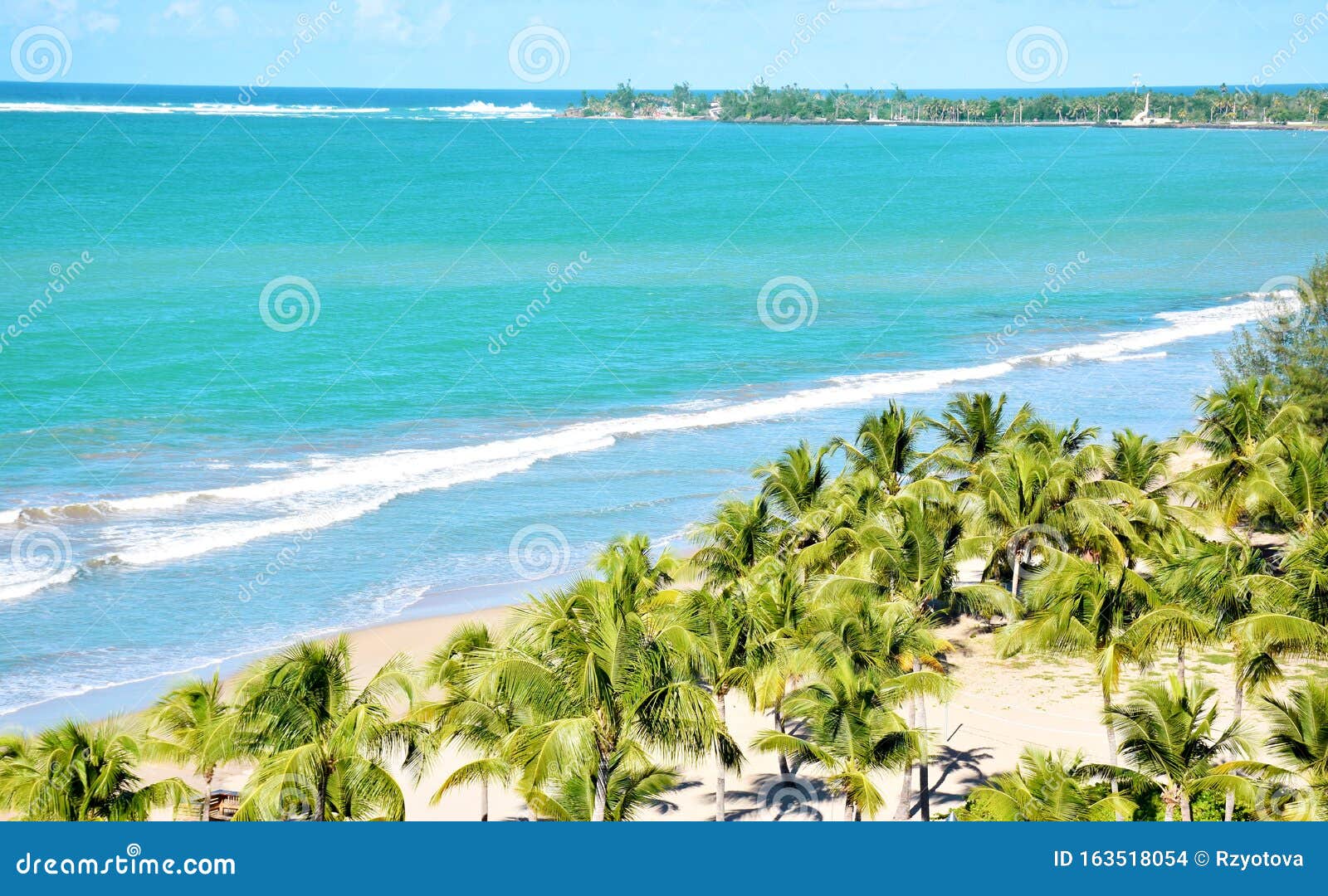 view of the beach with palm trees and blue sky