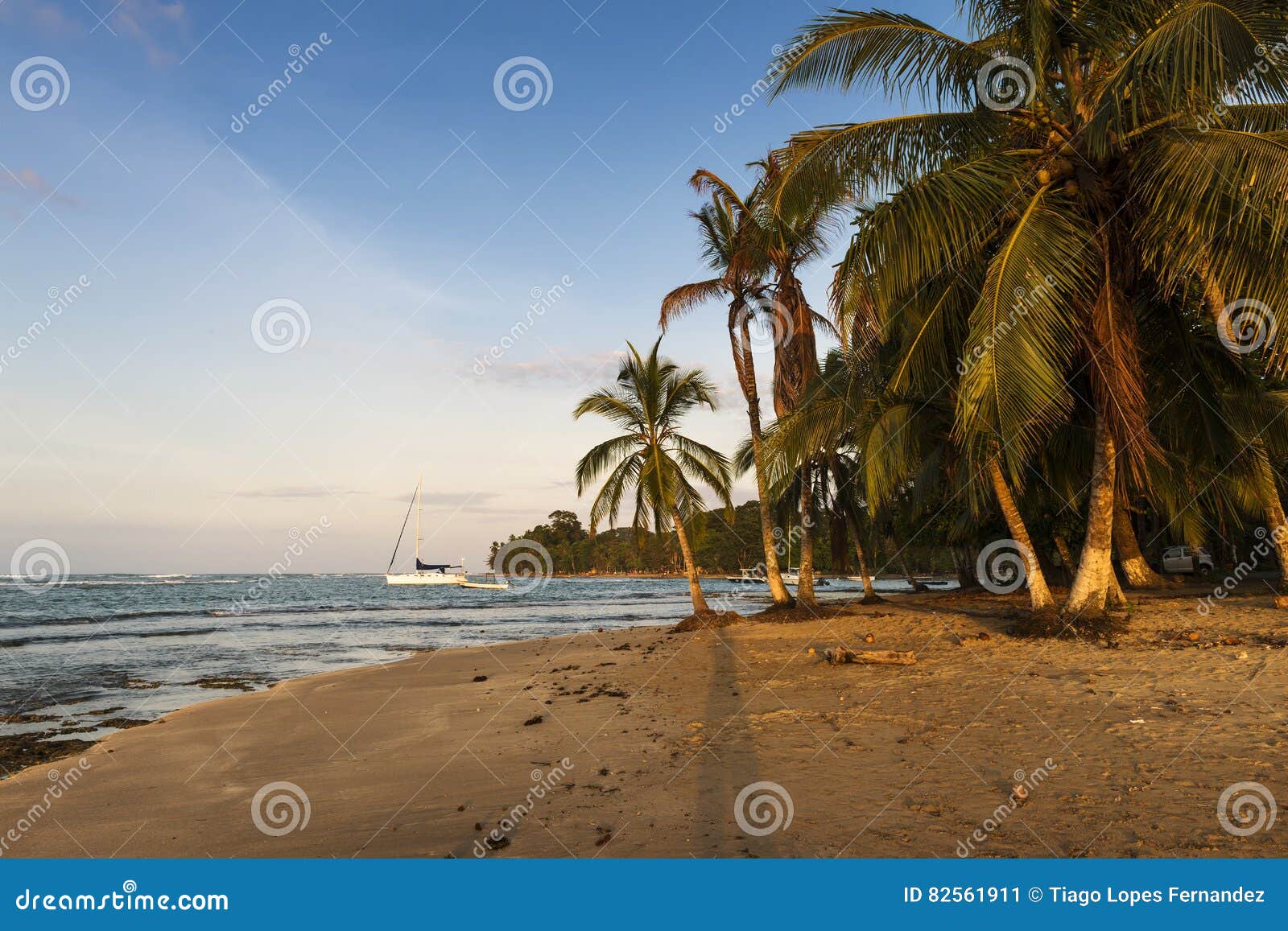 view of a beach with palm trees and boats in puerto viejo de talamanca, costa rica