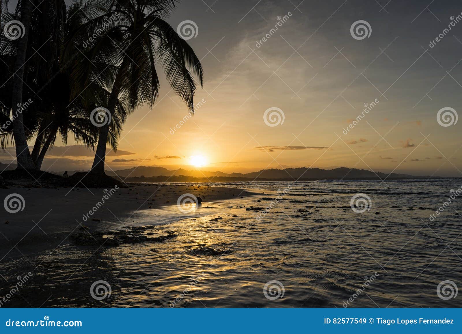 view of a beach with palm trees at sunset in puerto viejo de talamanca, costa rica