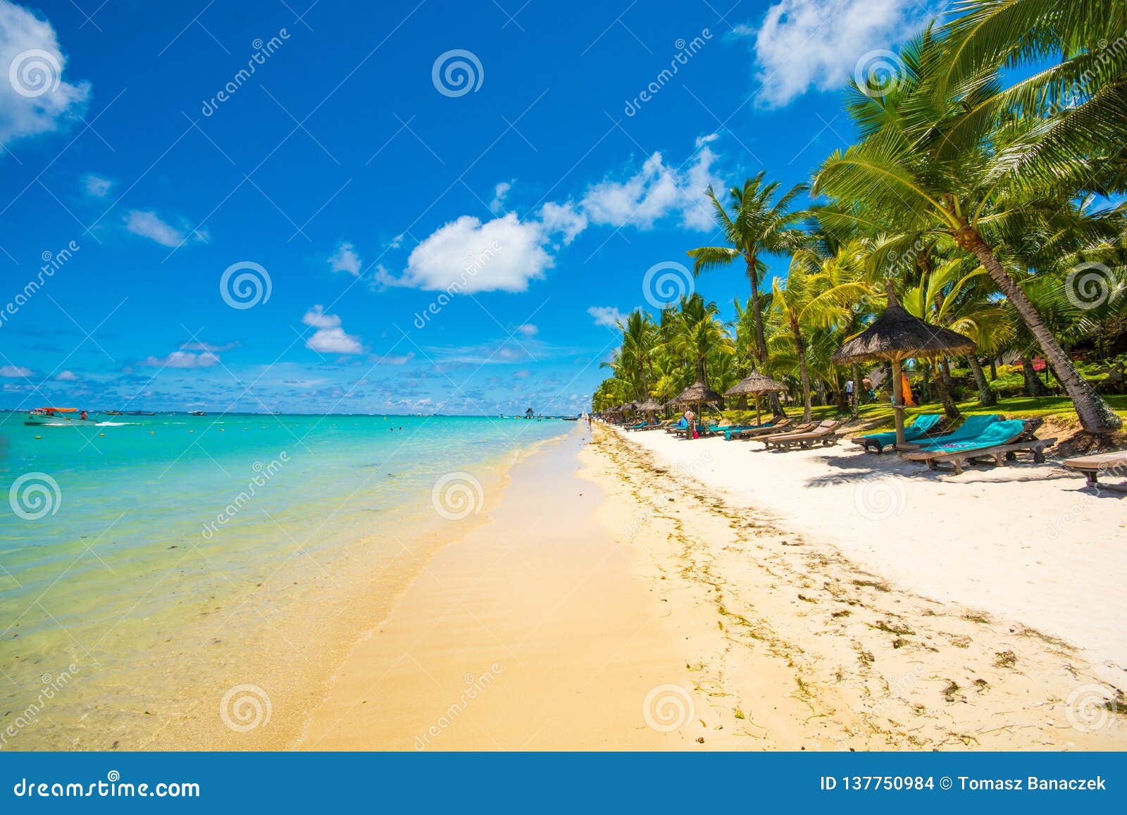beautiful exotic beach in trou aux biches, mauritius