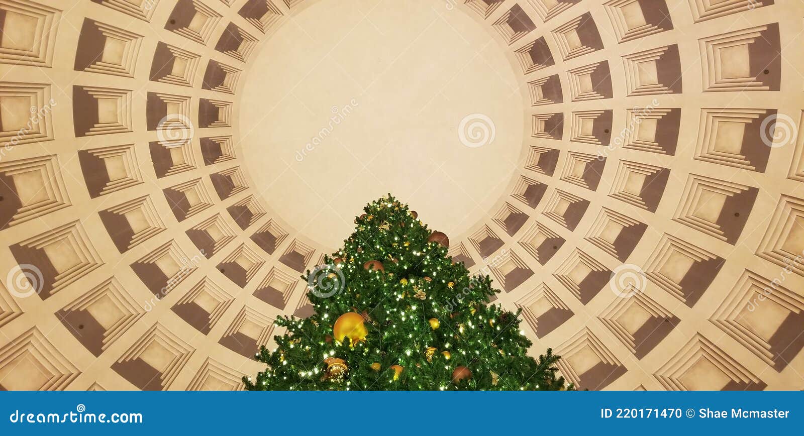 Christmas Tree at the Forums in Caesars Palace Stock Photo Image of celebration, forums 220171470