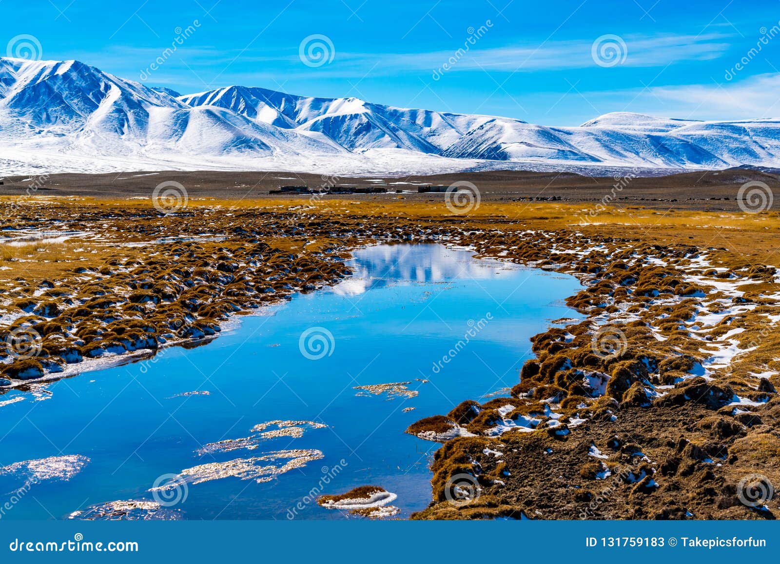 View of Beautiful Snow Mountain with the Yellow Steppe Stock Image