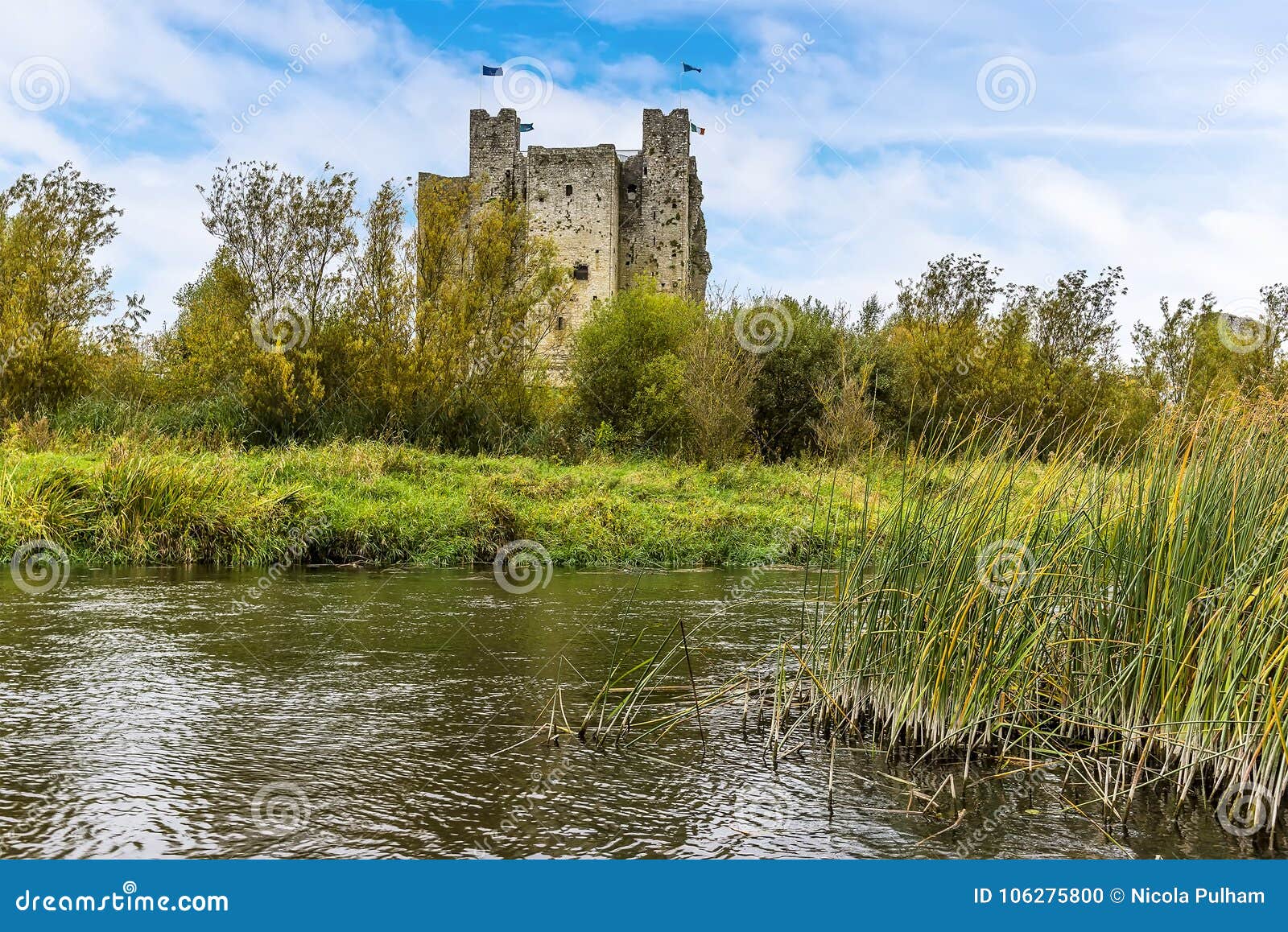 A View By A Bed Of Reeds Across The River Boyne At Trim Ireland Stock Photo Image Of Boyne Bridge