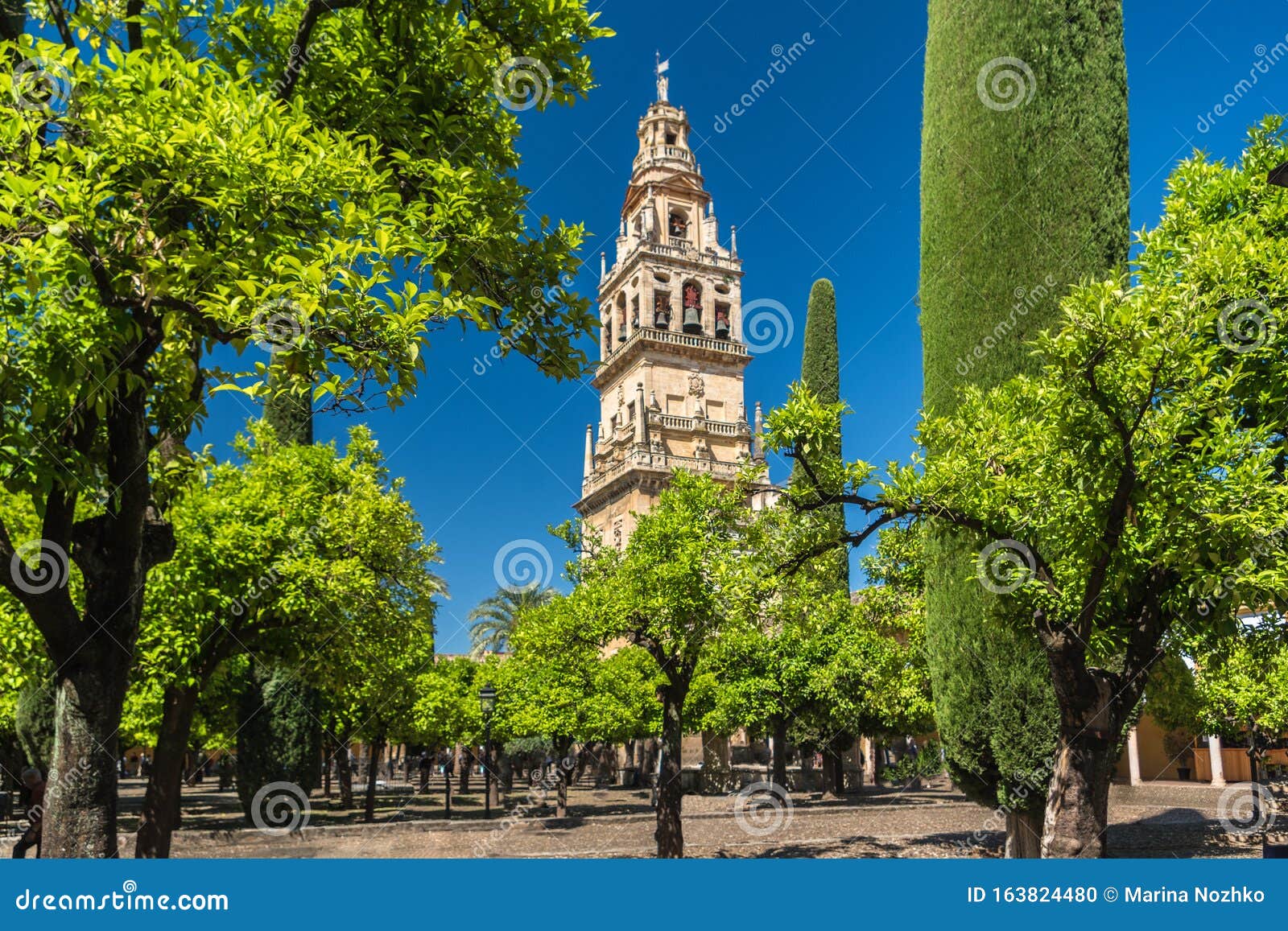 View of the Bell Tower of the from the Orange Courtyard Patio De Los Naranjos in Cordoba, Spain Stock Photo - Image of garden, andalucia: 163824480