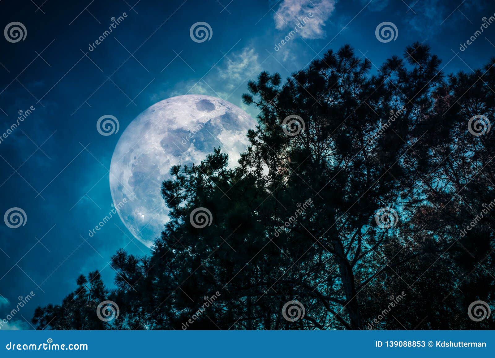 silhouette of trees against sky and super moon over serenity nature background