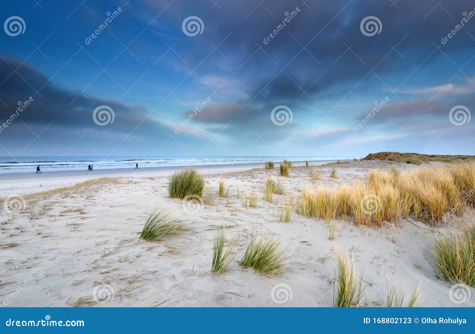 view on big beach on schiermonnikoog