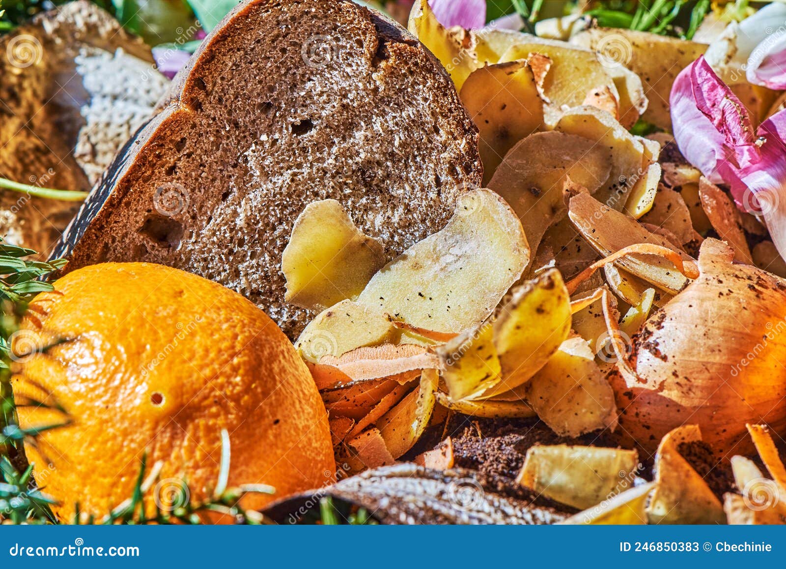 View into a Bio Container with Various Organic Wastes for Recycling
