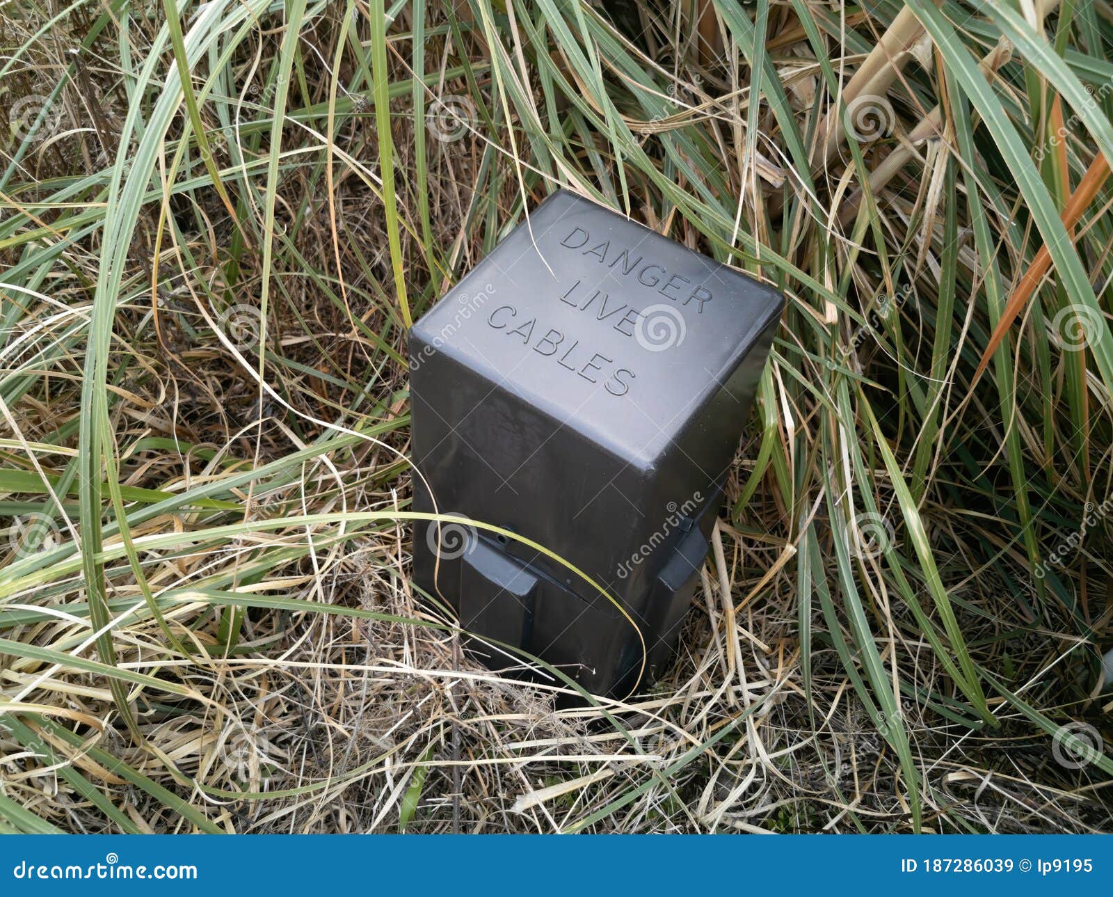 Black Electrical Pillar Box Editorial Stock Image Image of