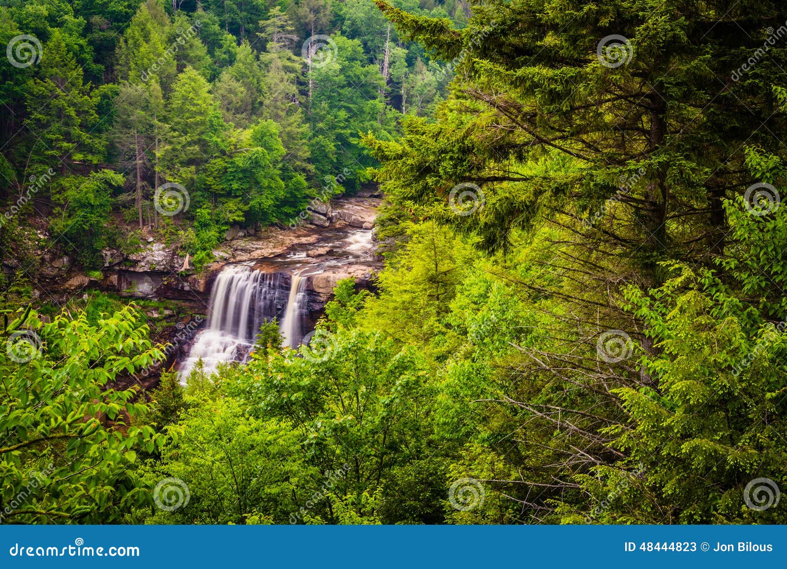 view of blackwater falls from the gentle trail, at blackwater fa