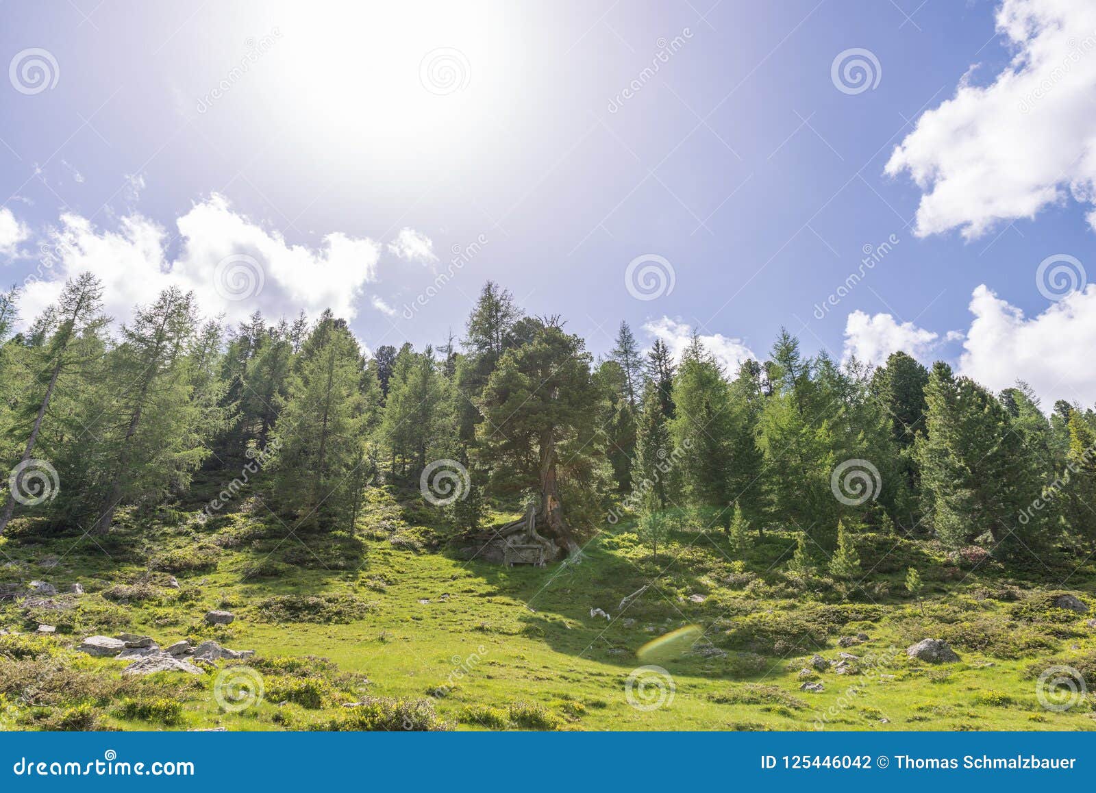 View into the Blue Sky with Sun and Cloud Stock Photo - Image of large ...