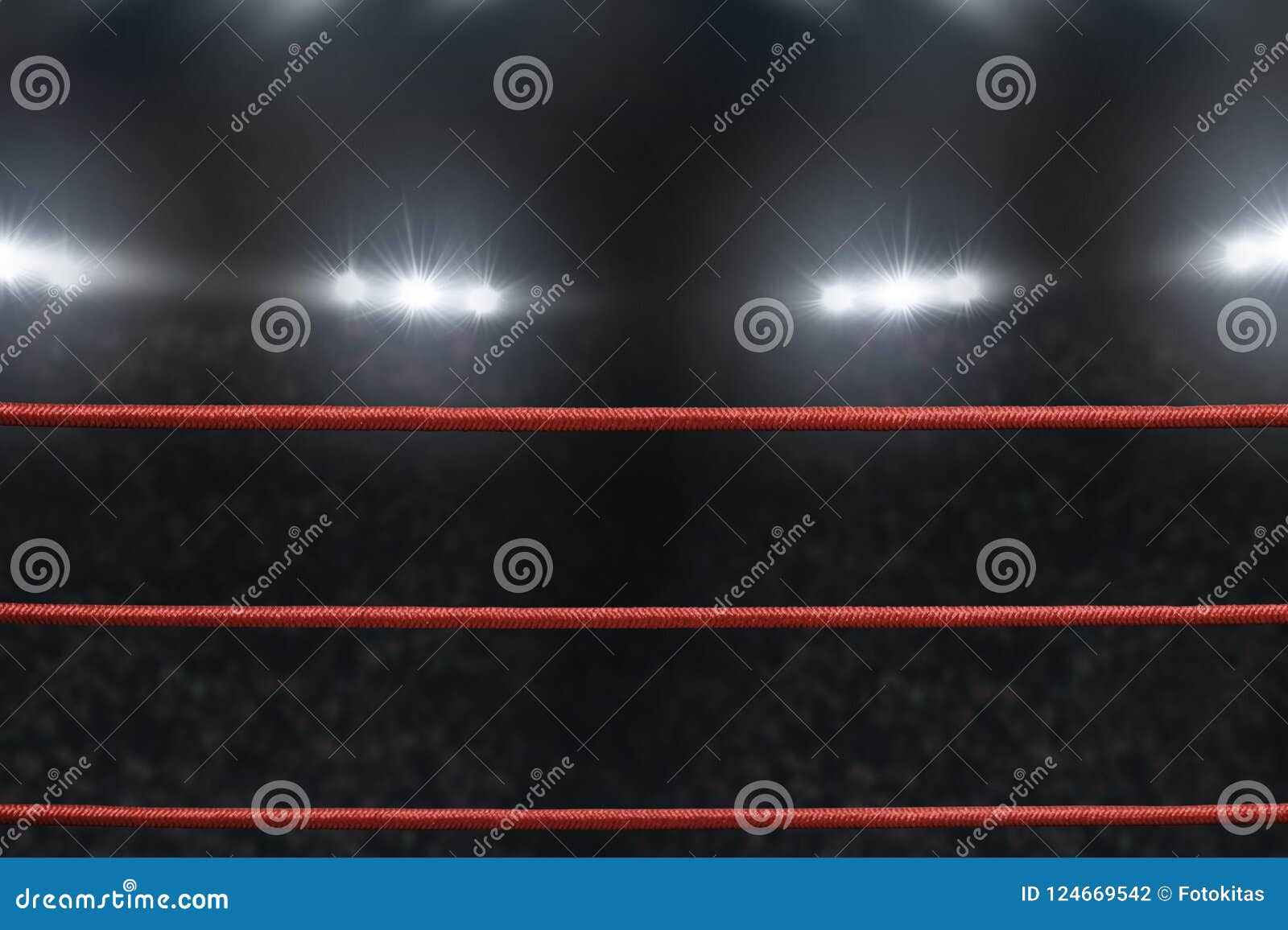 view of boxing ring rope