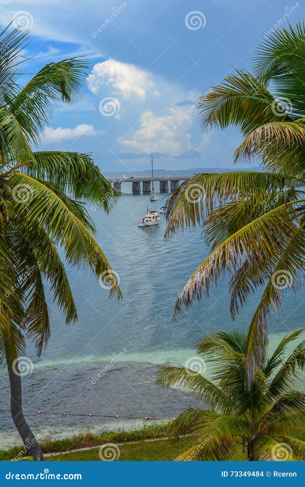 view of a bridge and bote between palm trees