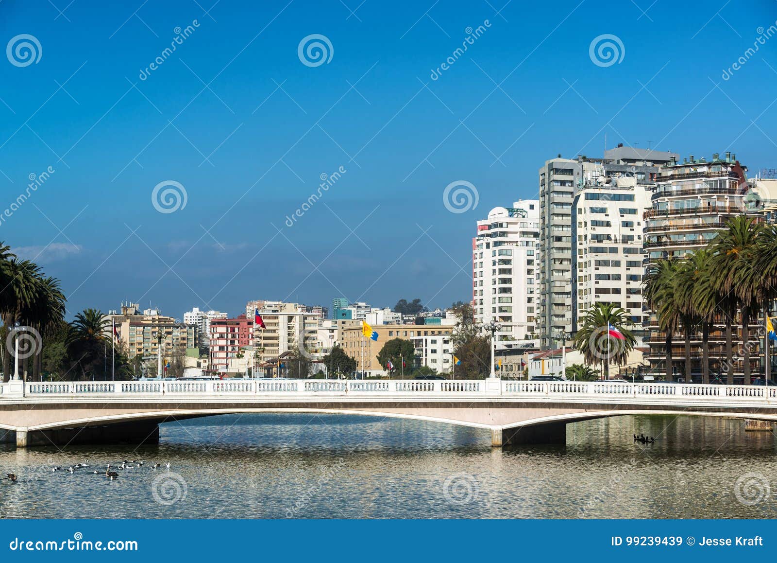 bridge and estuary in vina del mar