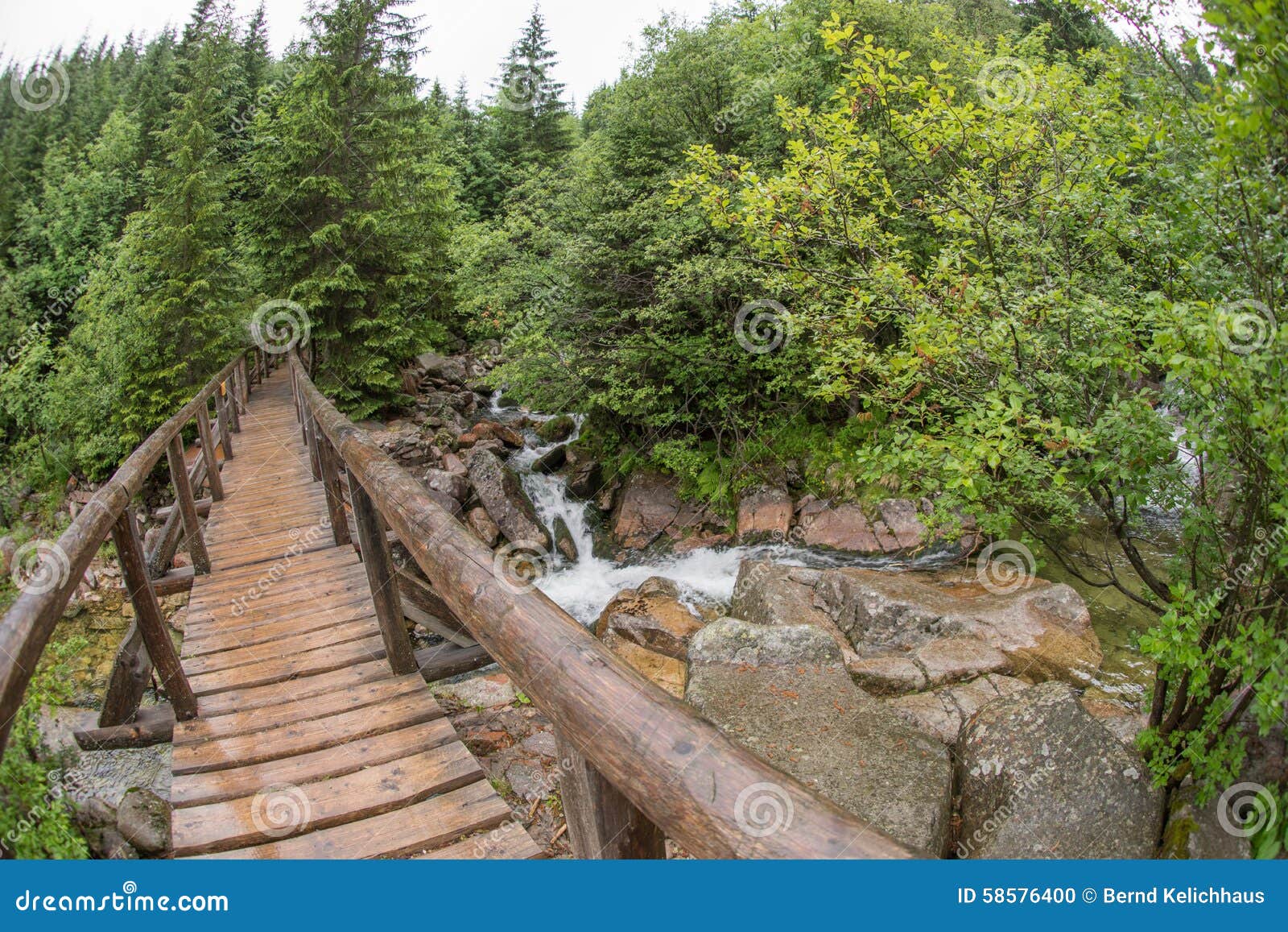 Download View Of Bridge - Fisheye Distortion Stock Photo - Image of trekking, travel: 58576400