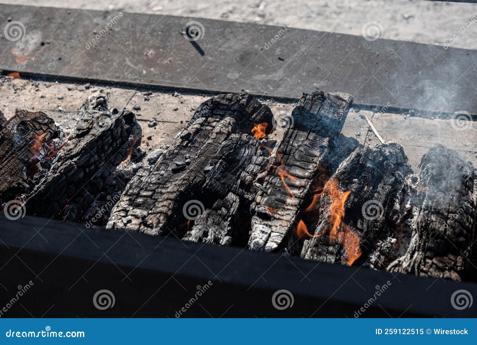 View of Burning Wood on the Ground Stock Image Image of wood, fire