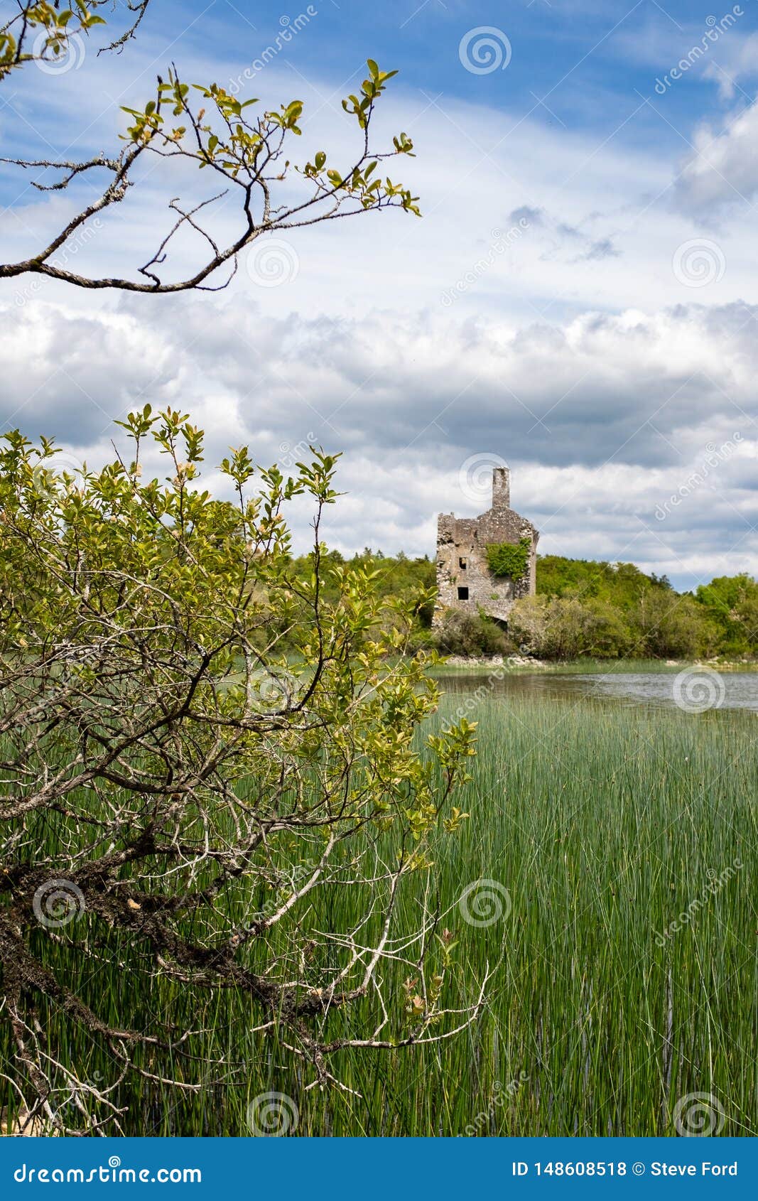 a view of cahermacrea castle from across the lake in front of the castle, this can be seen on the dromore reserve wood walk in