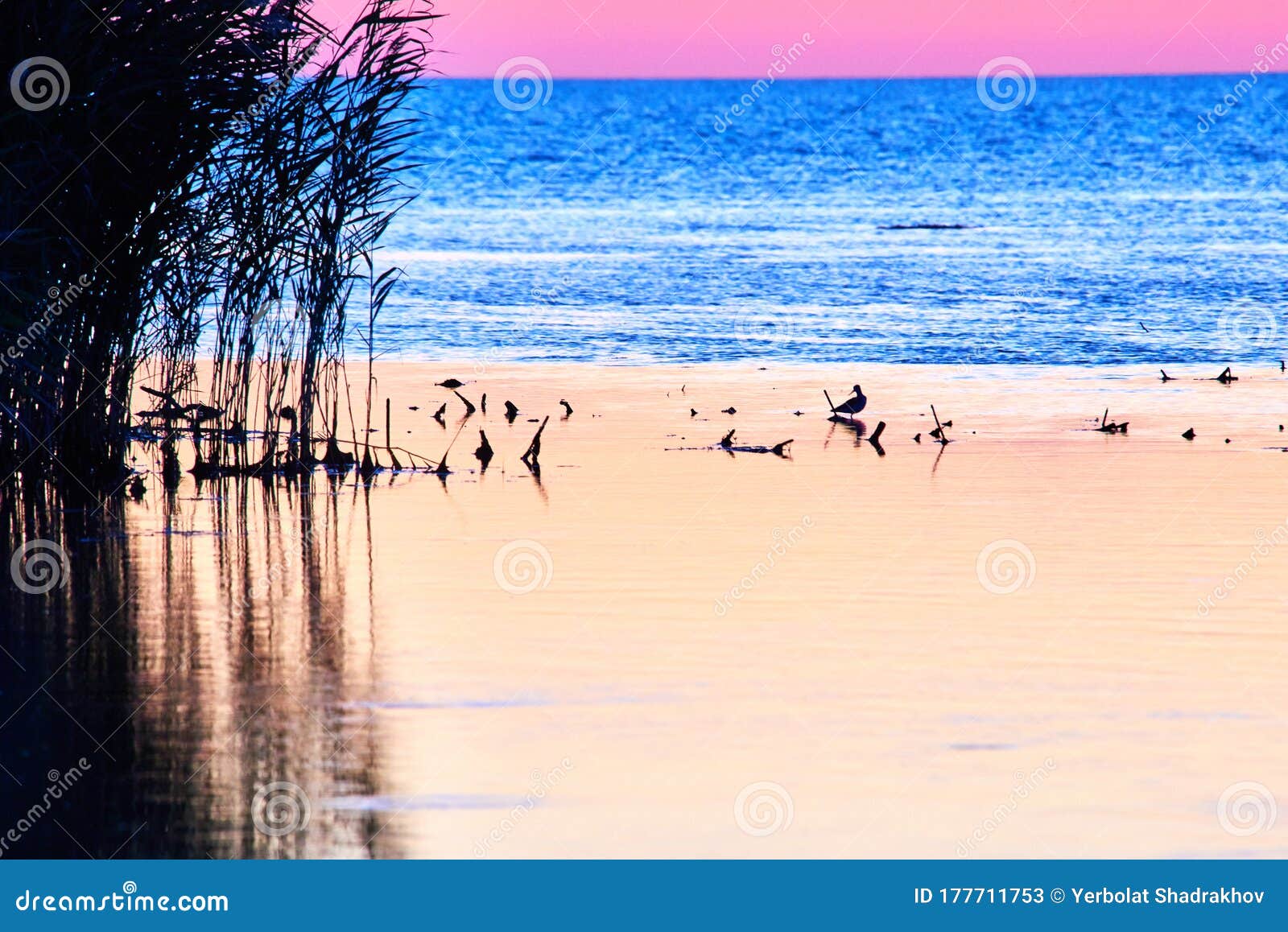 View of Caspian Sea in Nature Reserve. Atyrau Region. Kazakhstan. Stock - Image of atyrau, 177711753