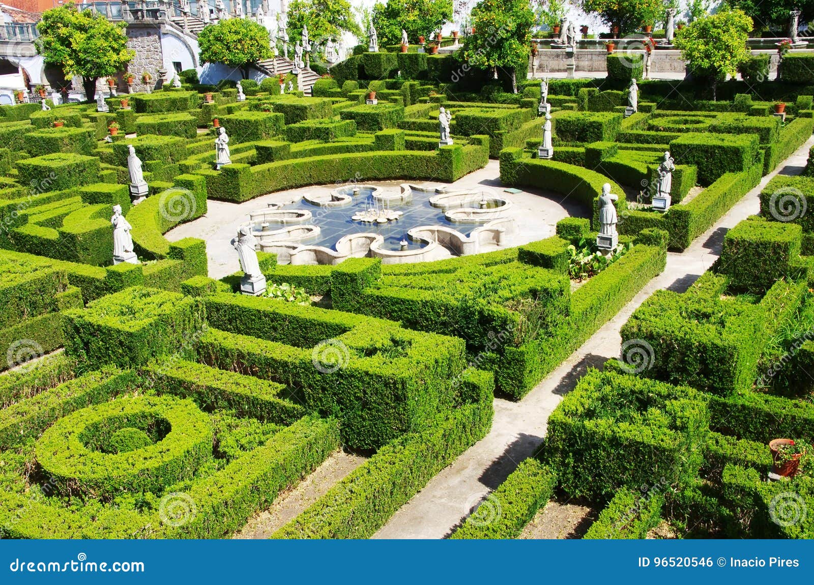 view of castelo branco garden