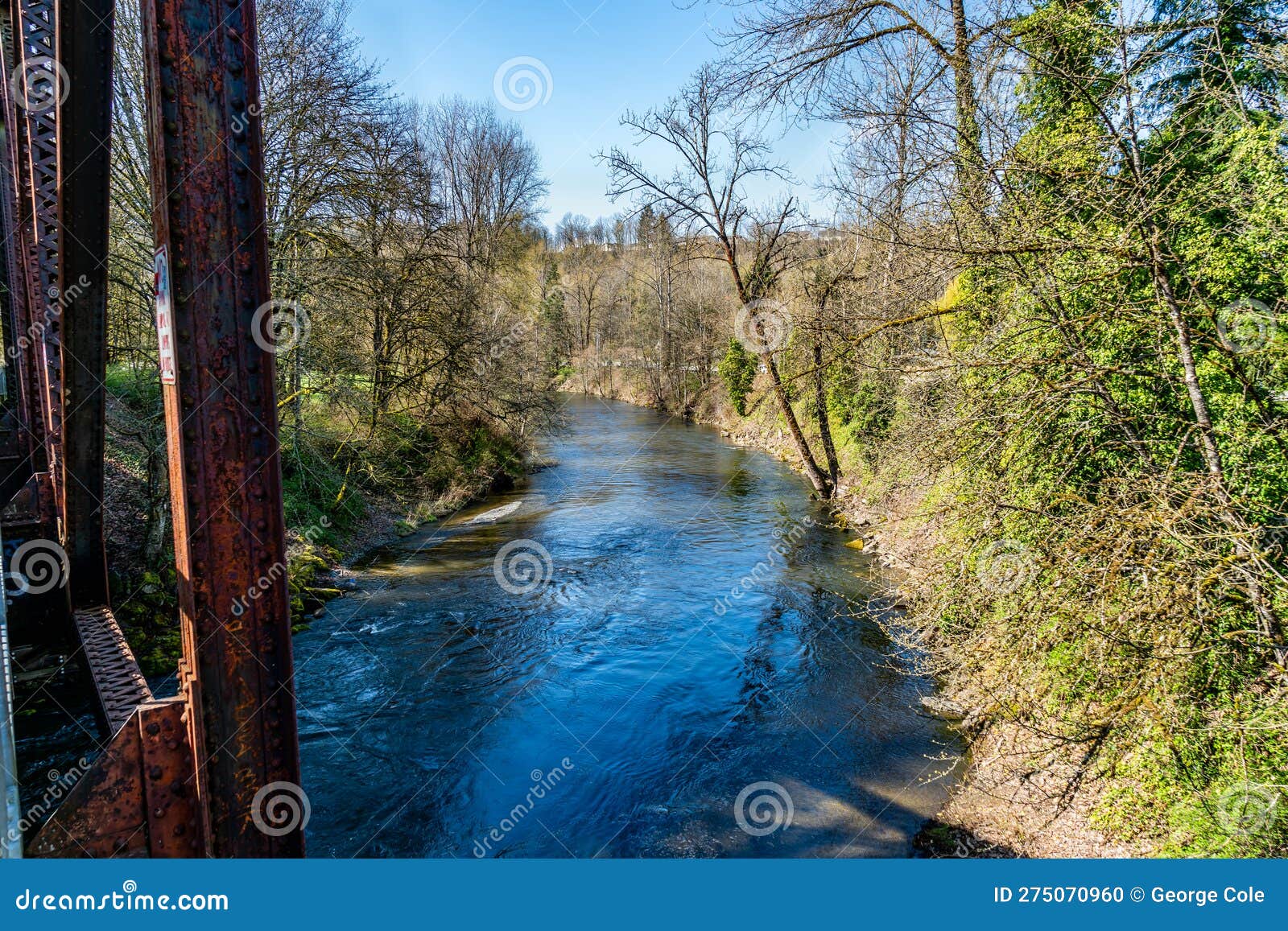 Cedar River in Renton 4 stock photo. Image of river 275070960