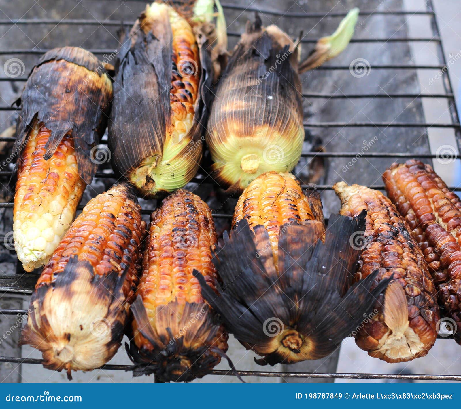 View of Charcoal Grill with Burnt Roasted Corn Stock Image Image of