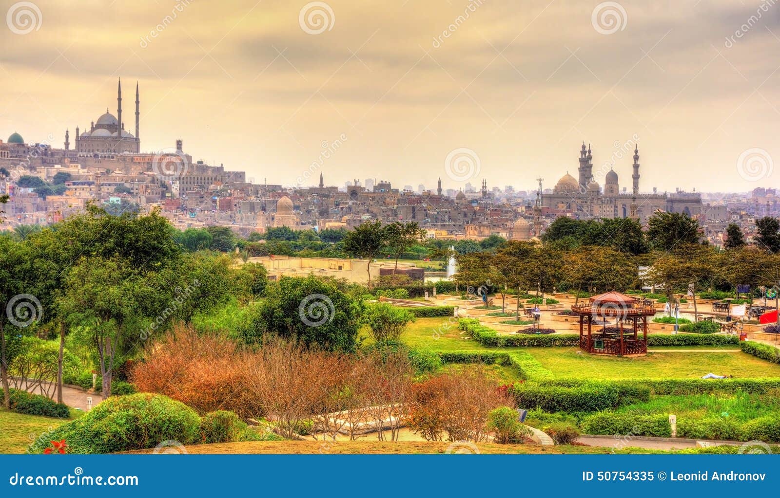 view of the citadel with muhammad ali mosque from al-azhar park