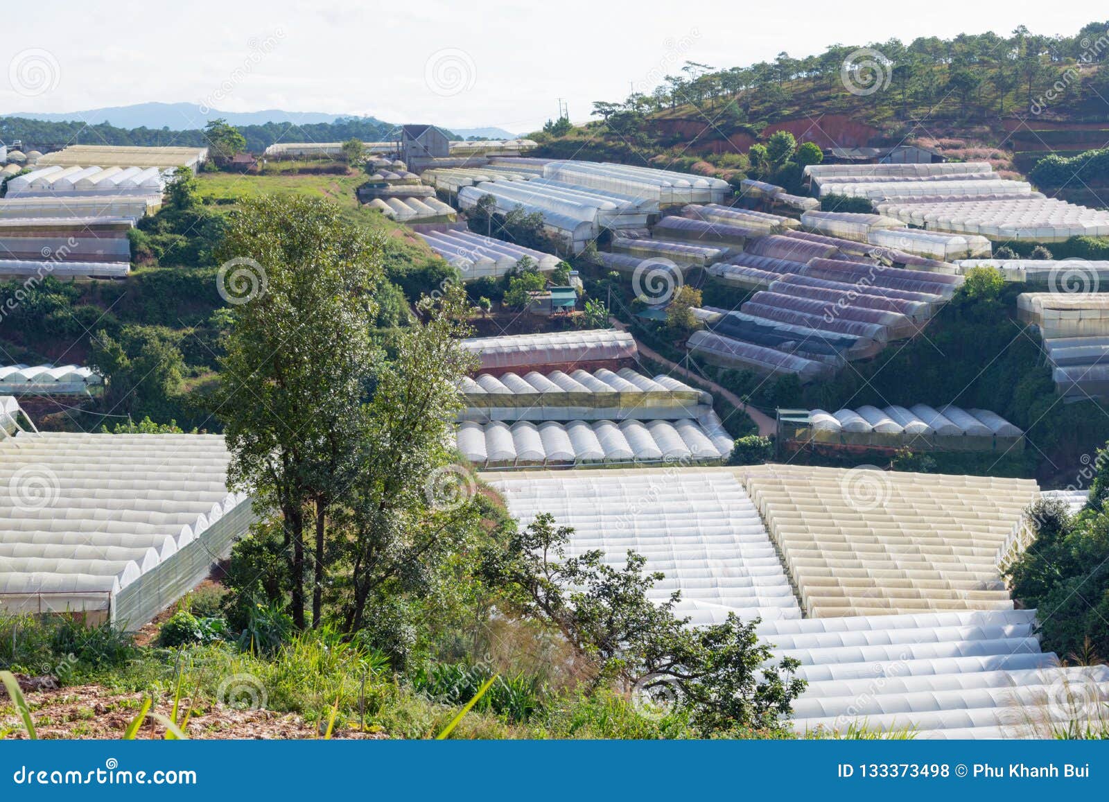 Greenhouses in city stock photo. Image of greenhouse 133373498