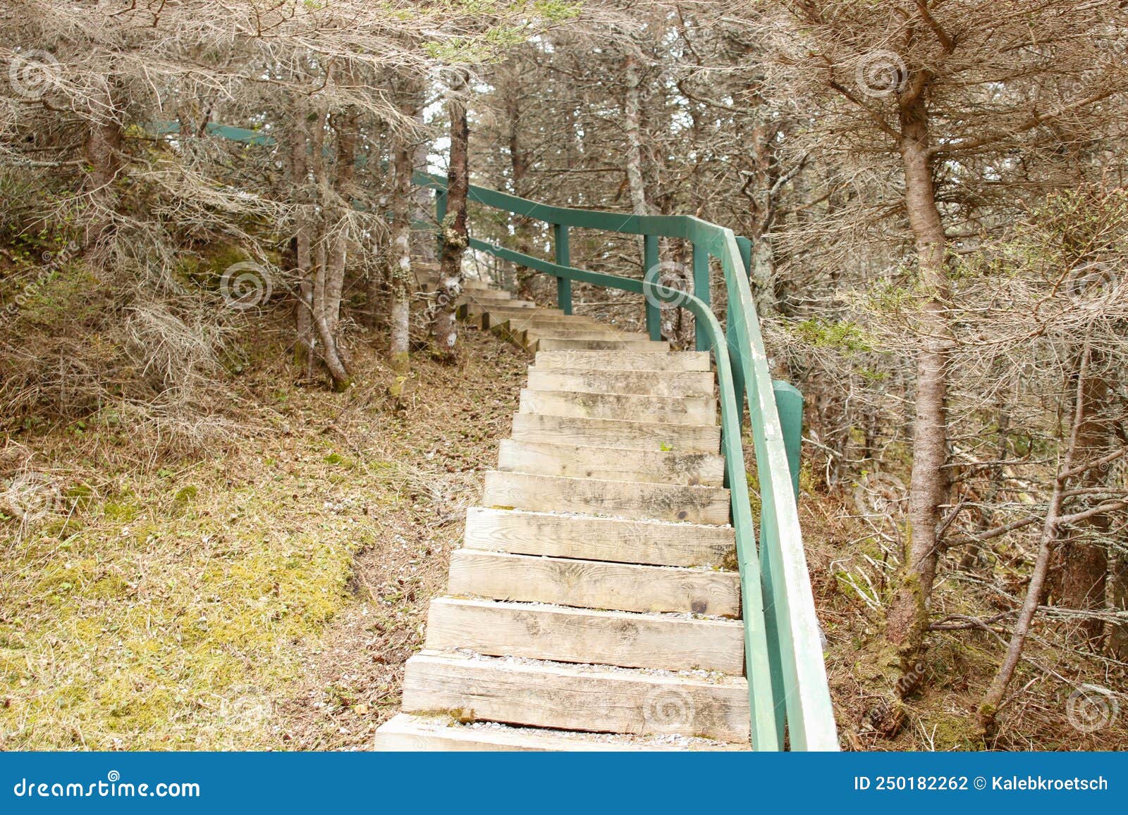 View of the Cows Head Lighthouse Along the Hiking Trail To Get There
