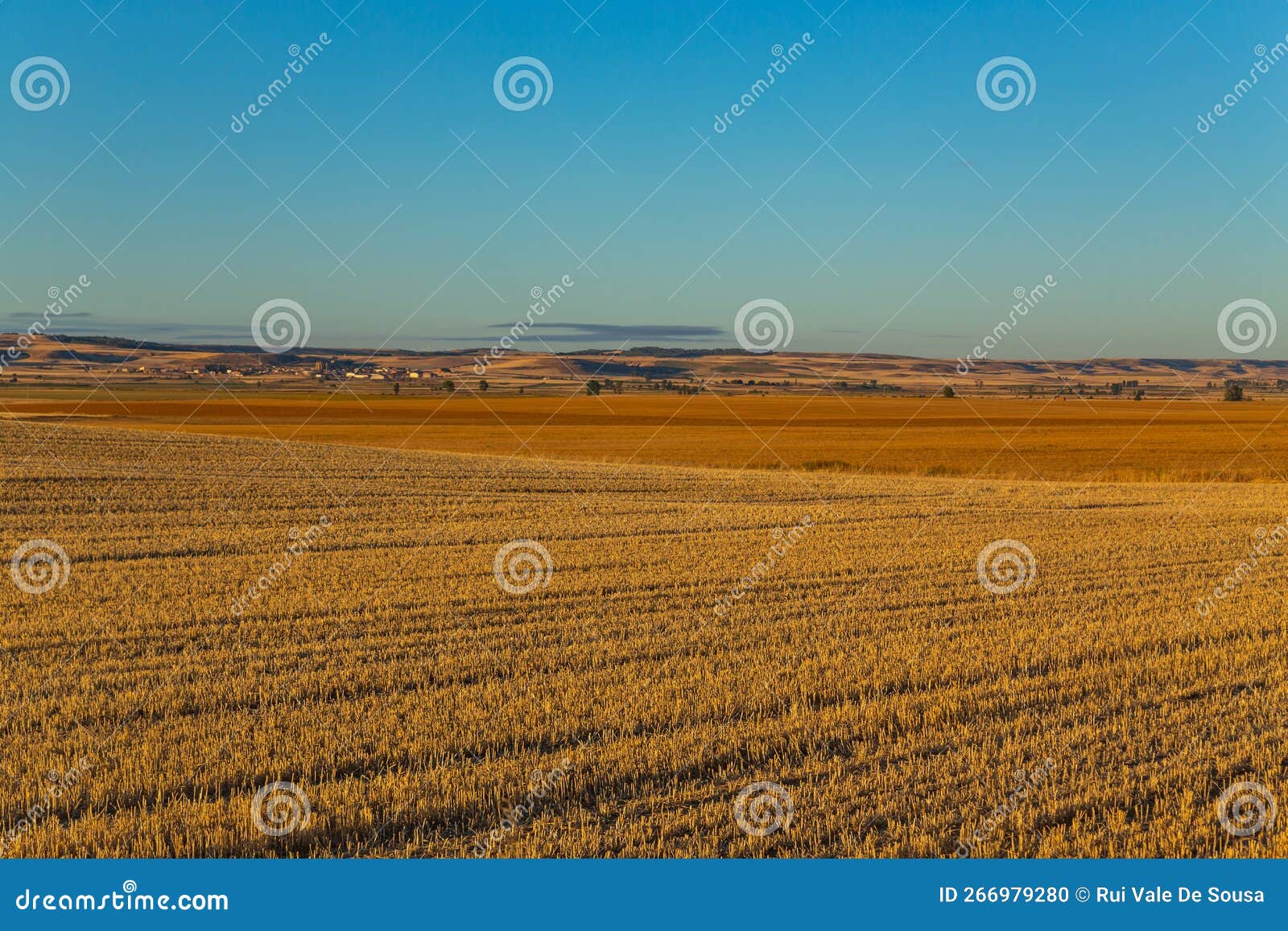 View of a Crop Field in Spain Stock Photo Image of farming, mancha