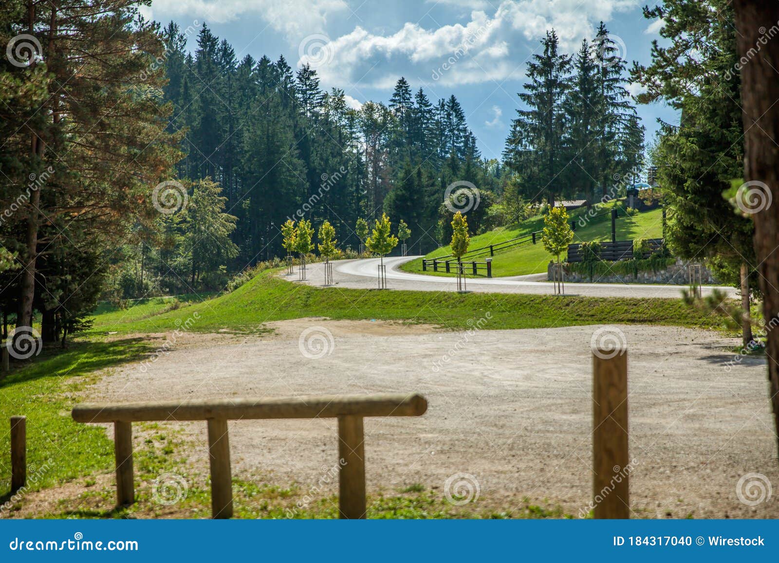 view of curved road surrounded by trees at hija glamping site at nova vas in slovenia on a sunny day