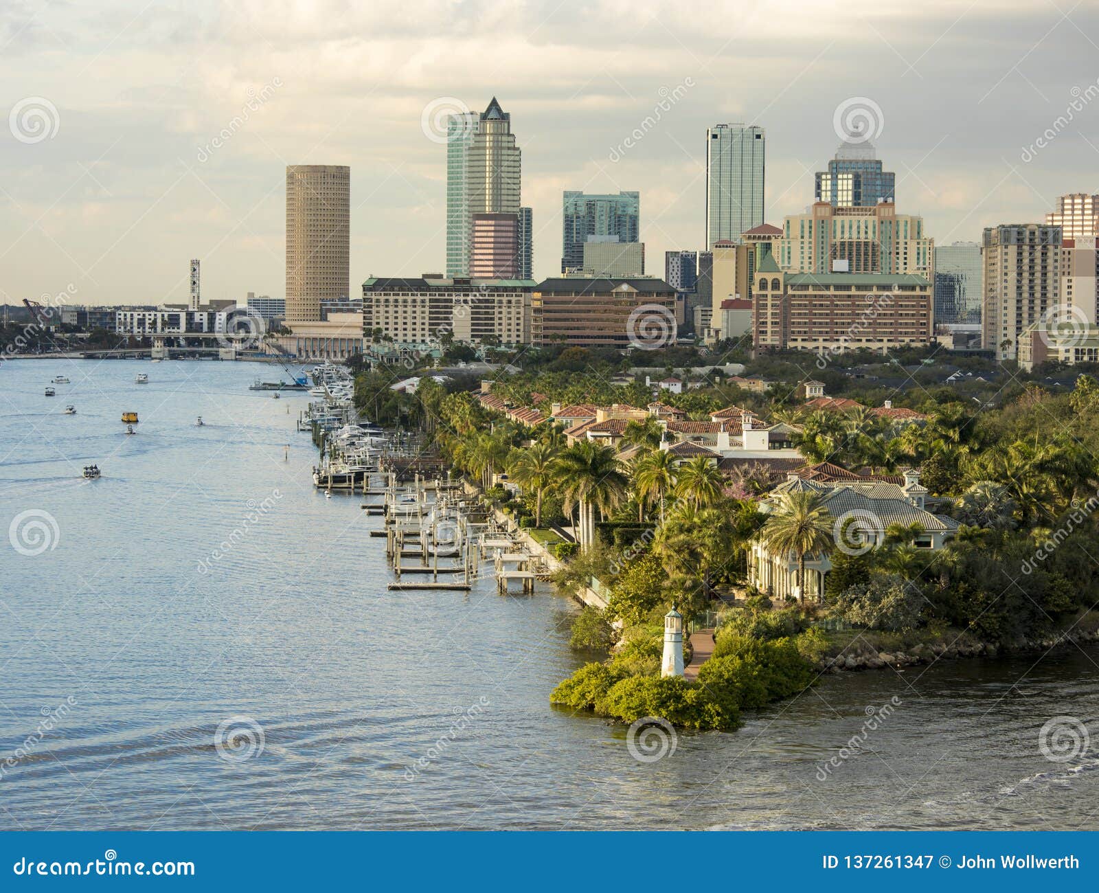 View of Downtown Tampa, Florida from the Port Stock Image Image of palm, city 137261347